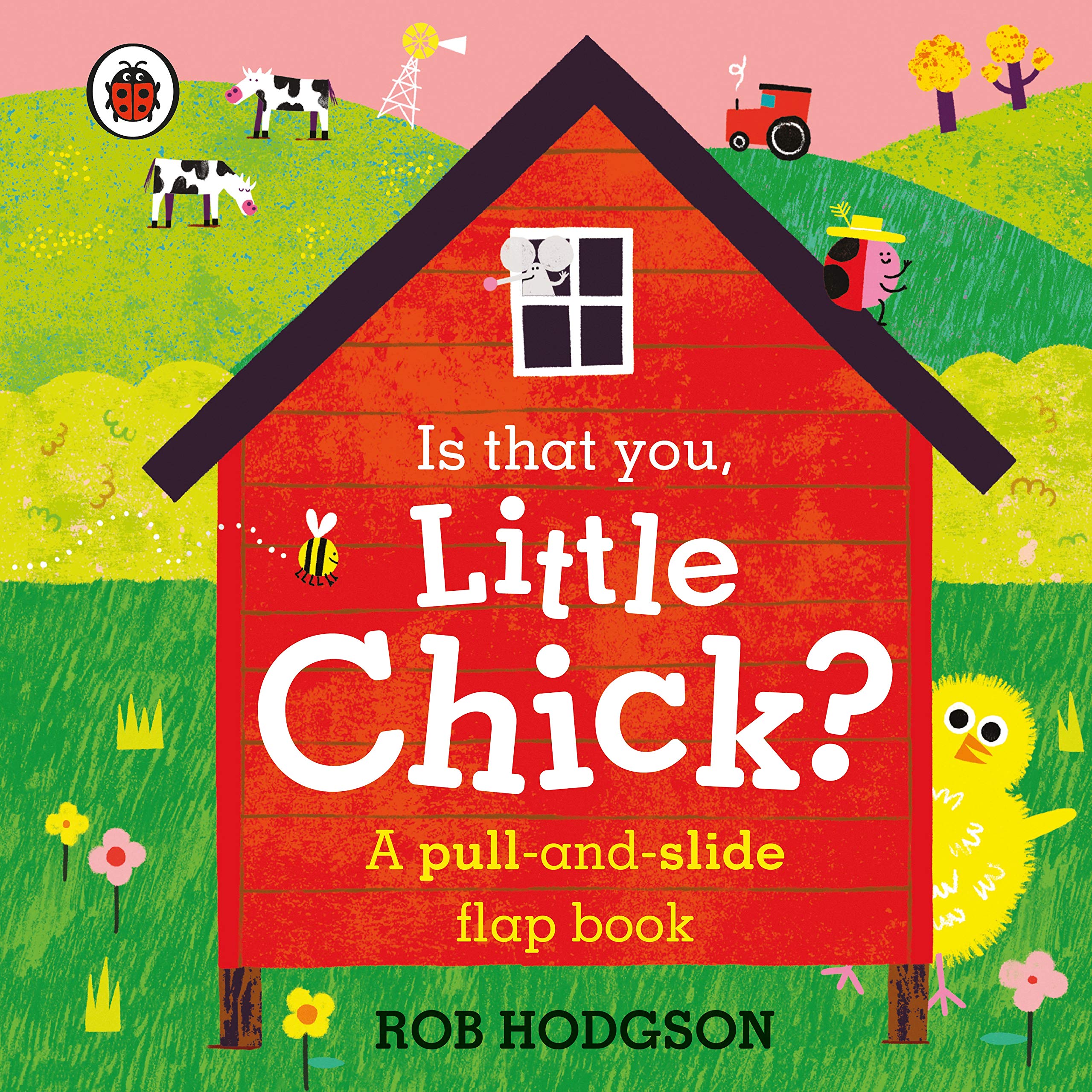 Ladybird Is that you, Little Chick?: A pull-and-slide flap book