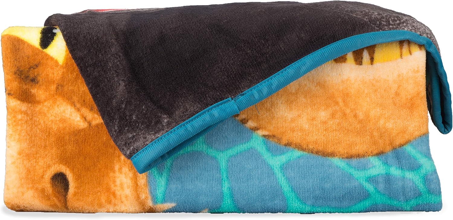 Franco Kids Bedding Super Soft Plush Throw, 46" x 60", How to Train Your Dragon,A39088