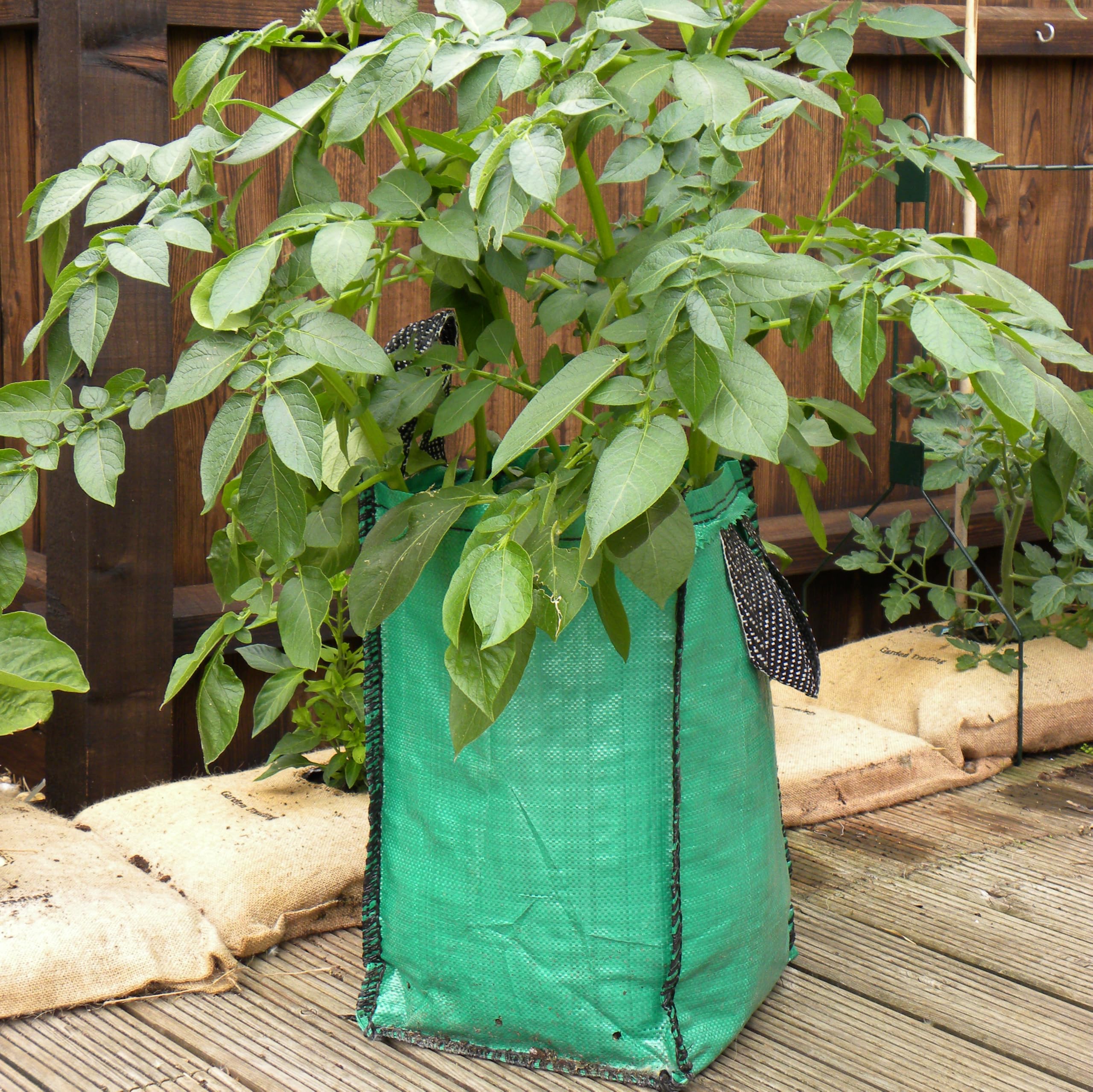 Garden Gear Potato Grow Bag 45L x12
