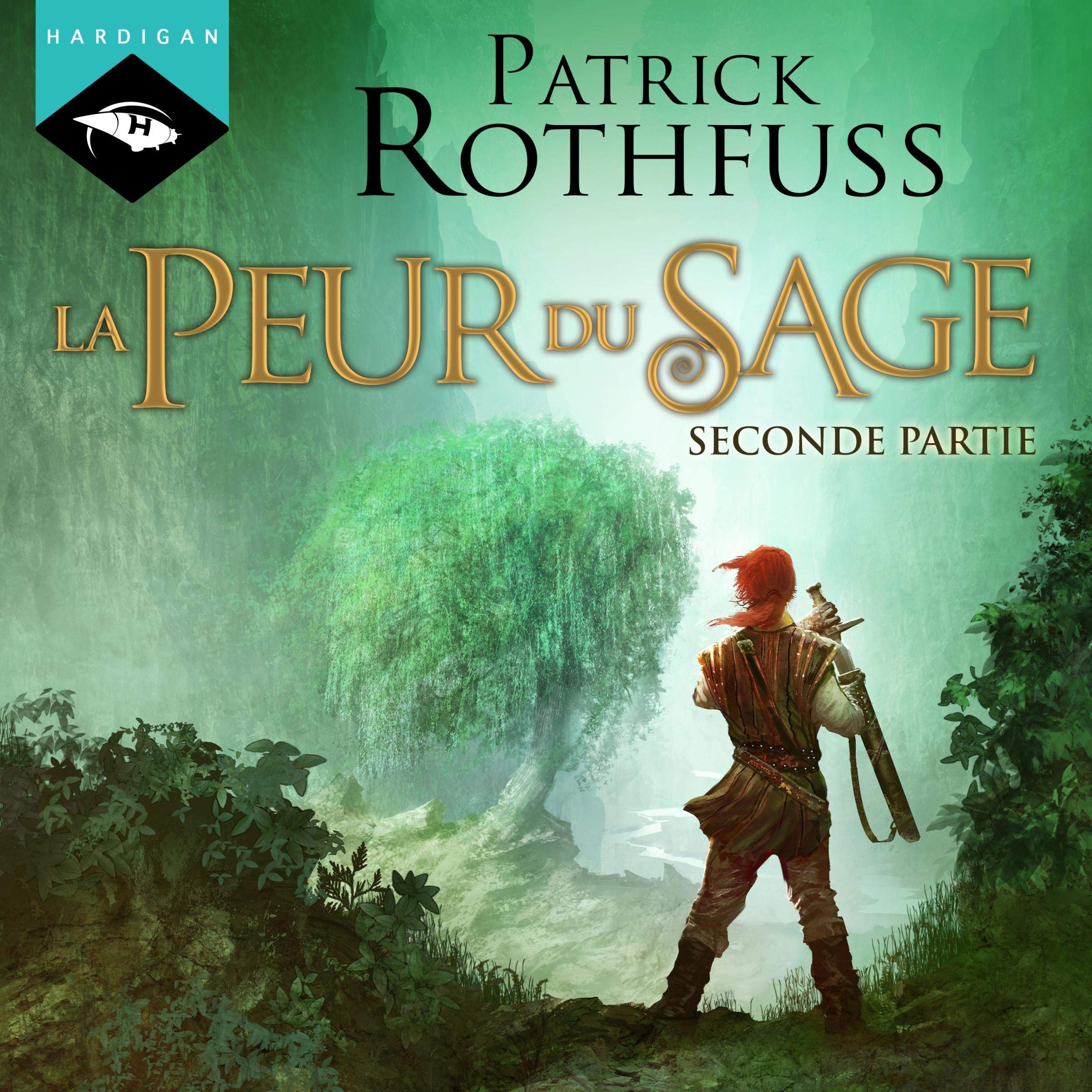 Cover art for La Peur du Sage 2