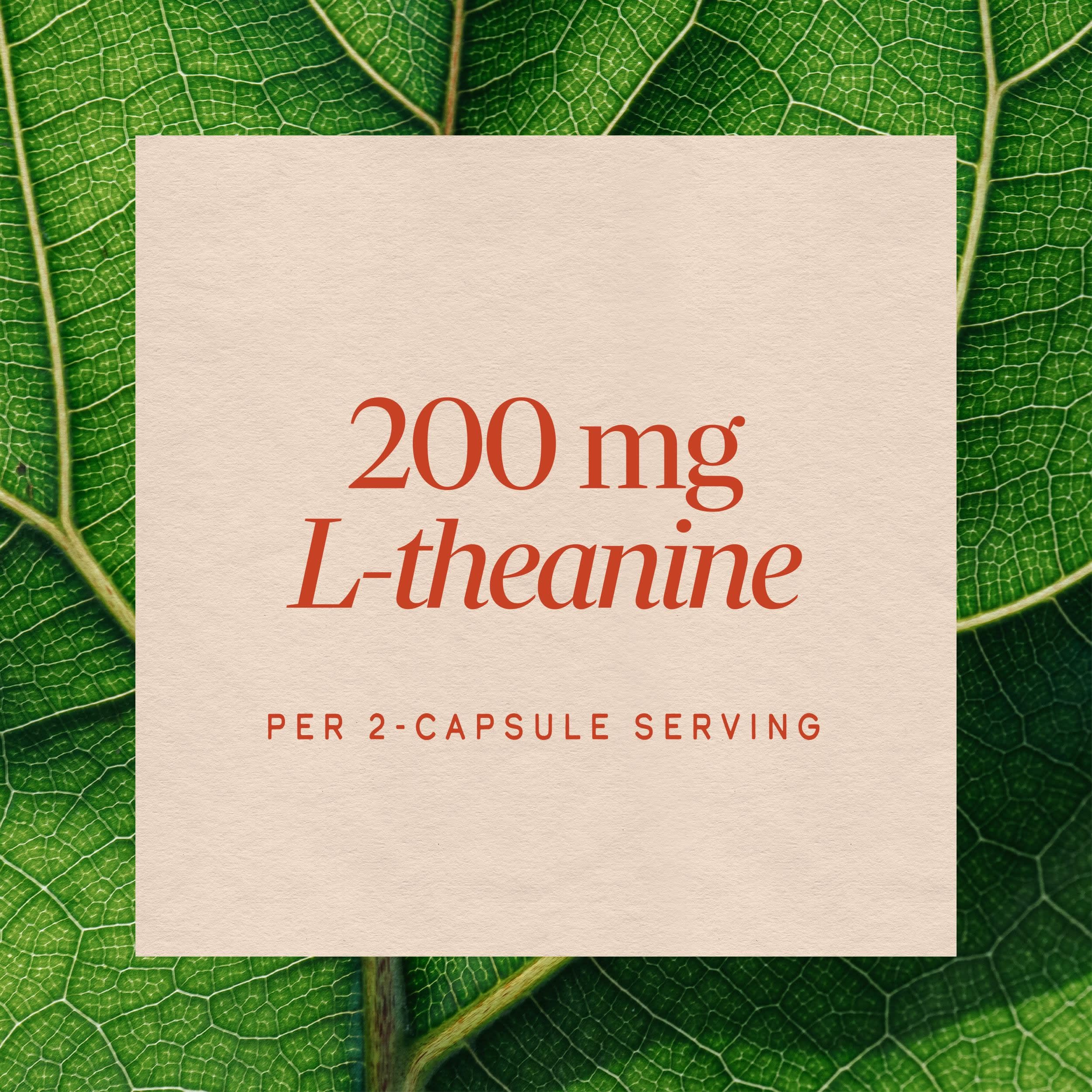 Nature's Way L-Theanine, Stress Relief*, Relaxation Support*, 60 ct — Amazon image 4