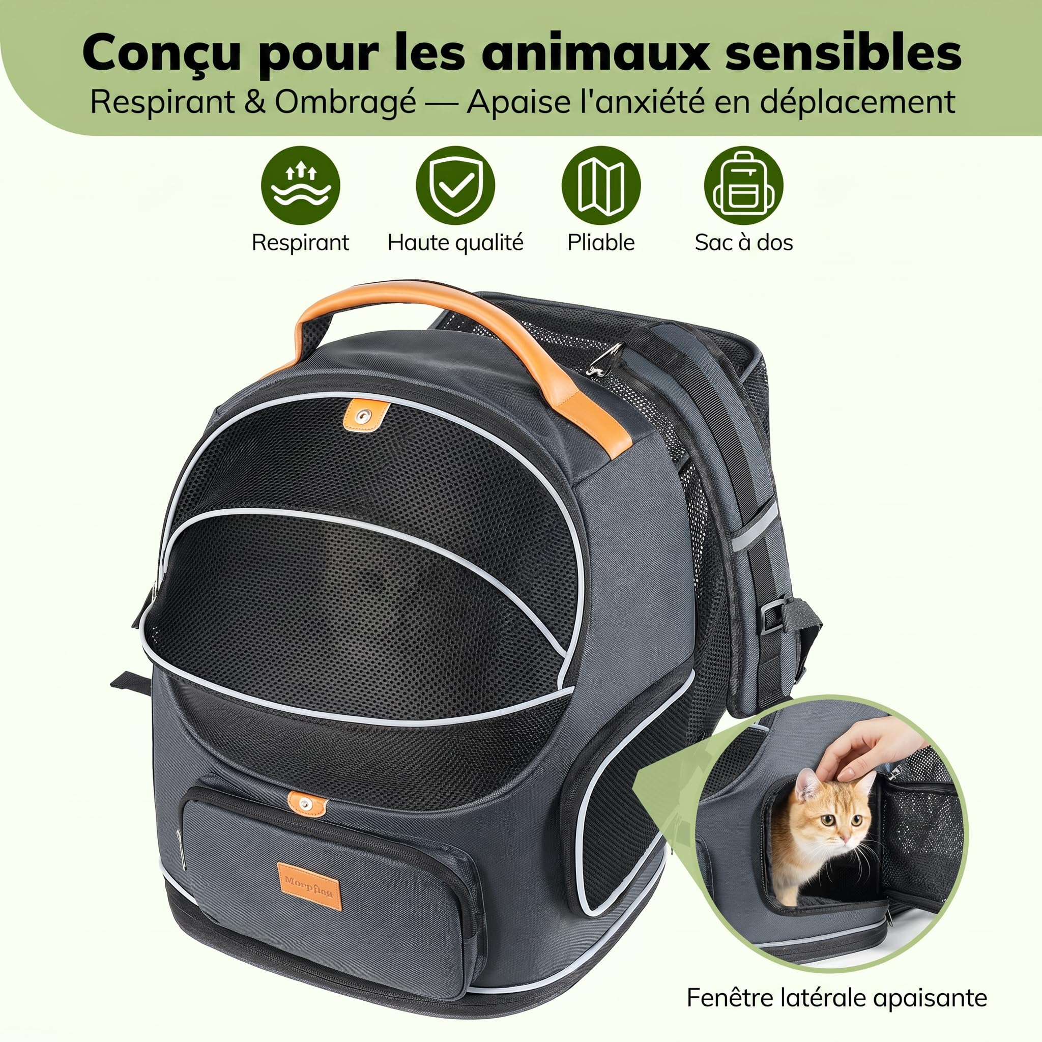 Morpilot Sac Transport 102% Extensible pour Chien avec Peluche Amovible Et Laisse De Sécurité Intérieure Sac à Dos Pliable pour Chat pour Train/Voiture/Voyage