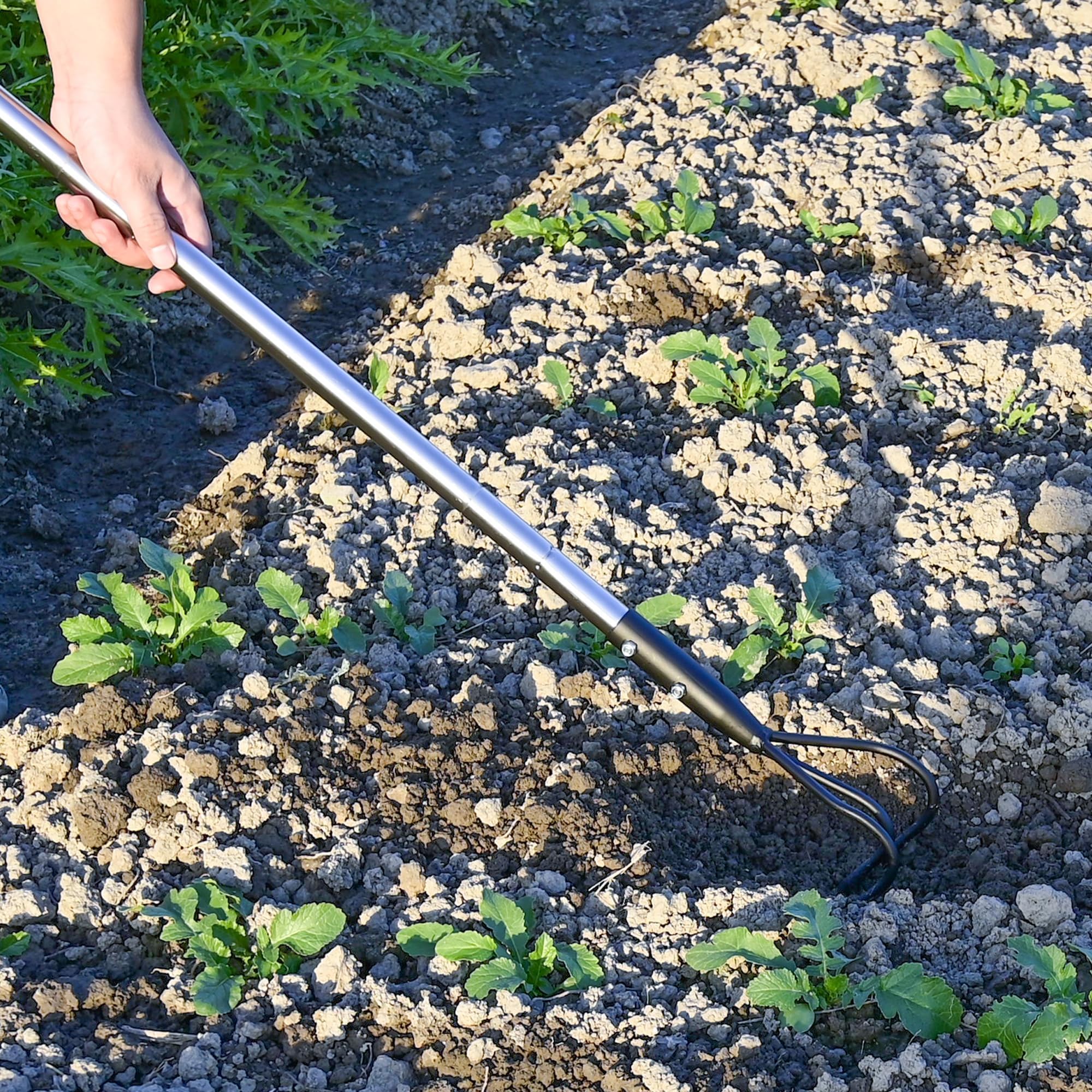 BARAYSTUS Handgrubber, Robuster 145 cm Langer Handgrubber Aus Kohlenstoffstahl, Verstellbare Länge, Gartengeräte, 3-Zinken-Grubber Für Den Garten, Lockerung des Bodens, Gartenhacke Cultivator