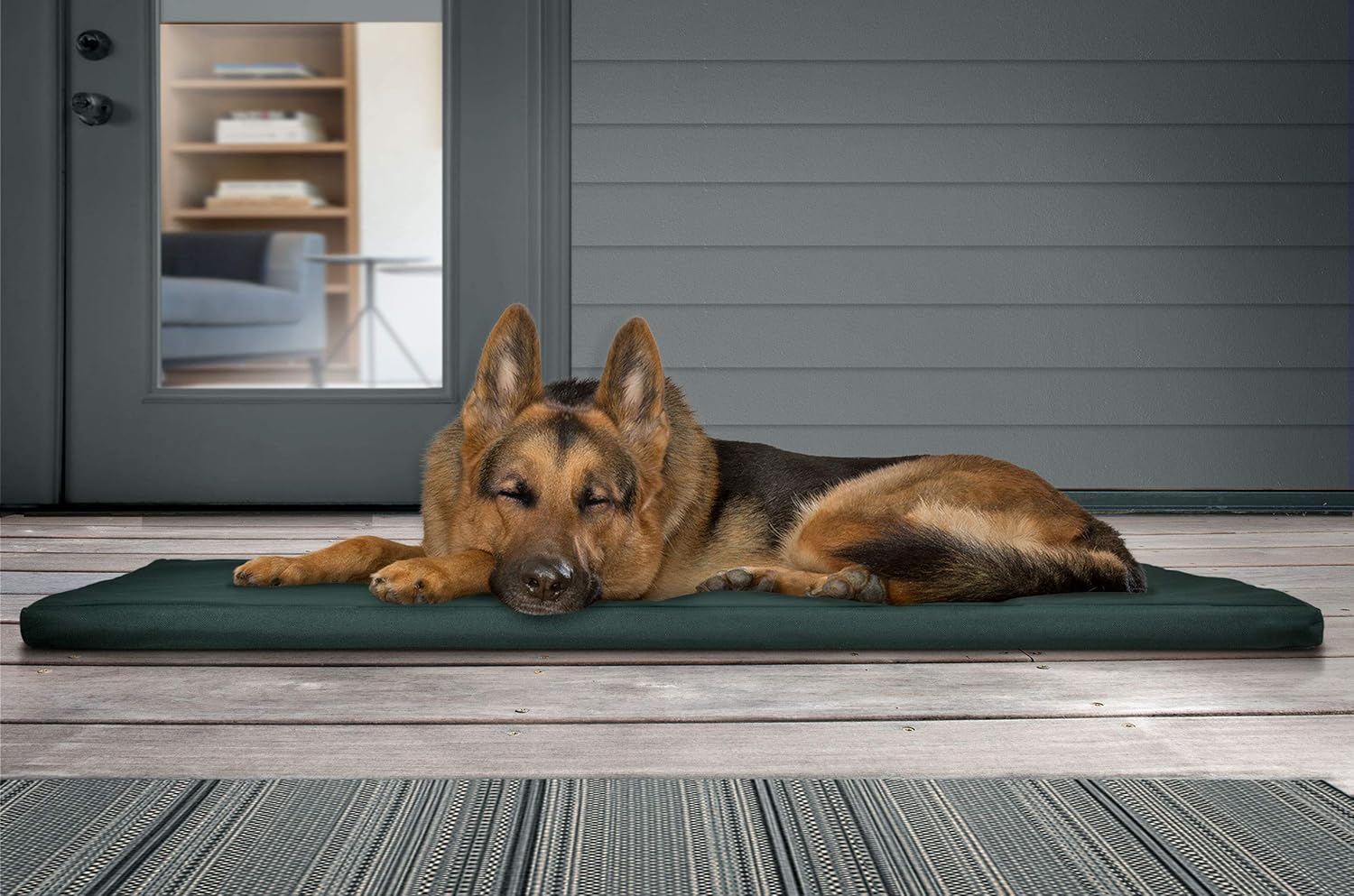The Ultimate Comfort: Furhaven Water-Resistant Dog Bed Review for Large Dogs