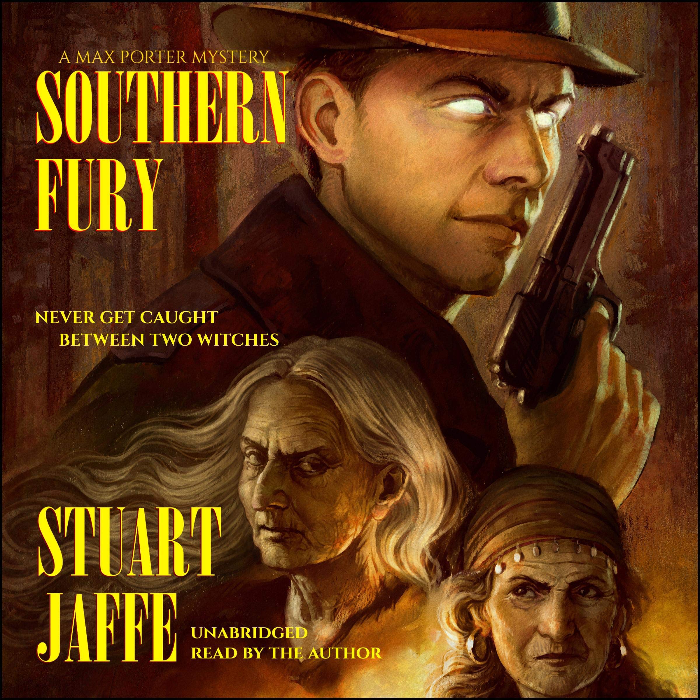 Cover art for Southern Fury