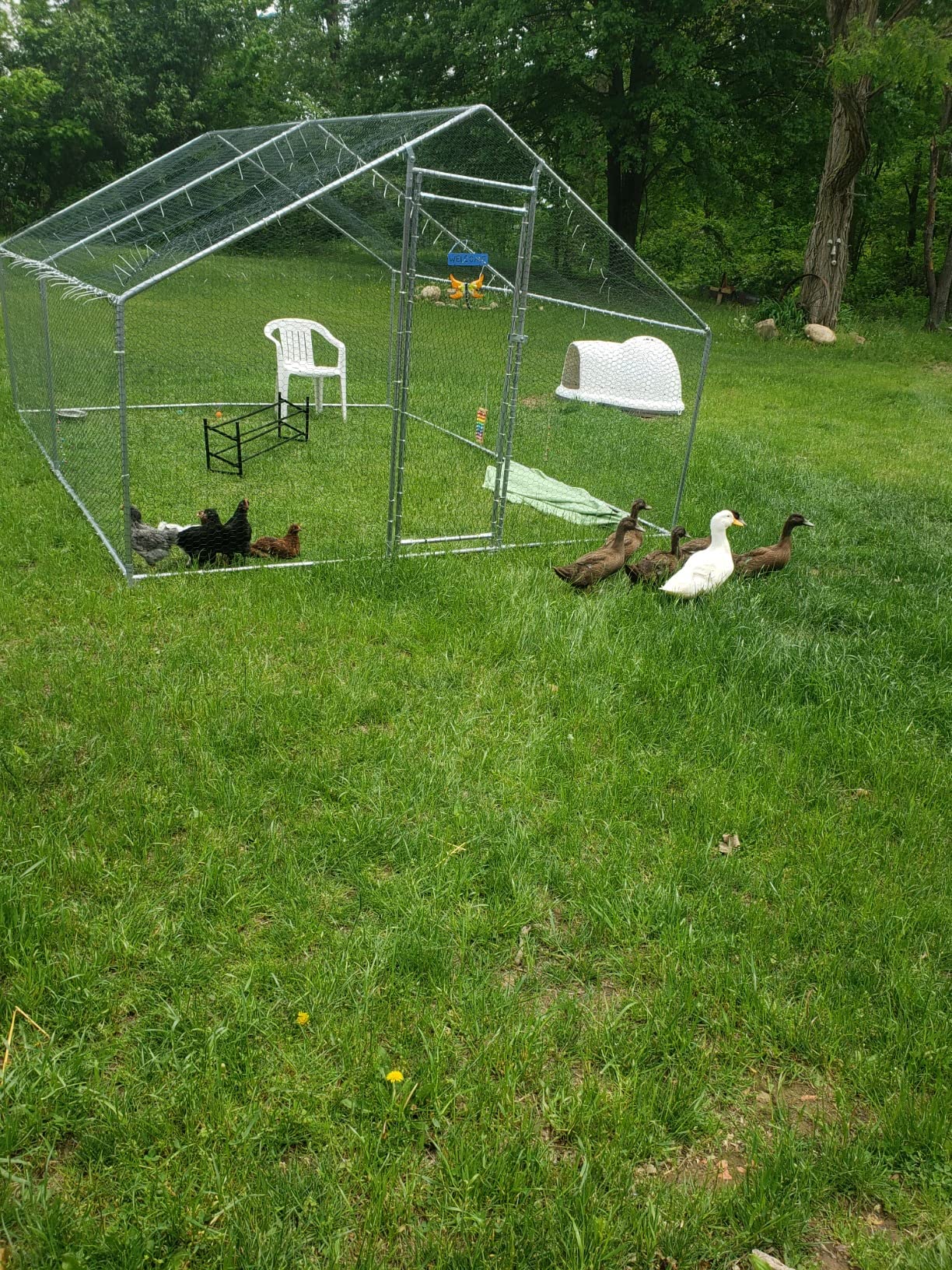 33/mo Finance Outdoor Metal Chicken Coop Extra Large Chicken Run Walk in Poultry Cage Hen