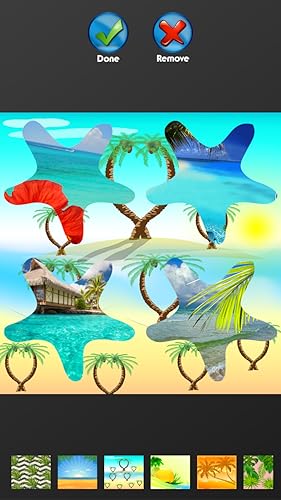 Colagem tropical da foto