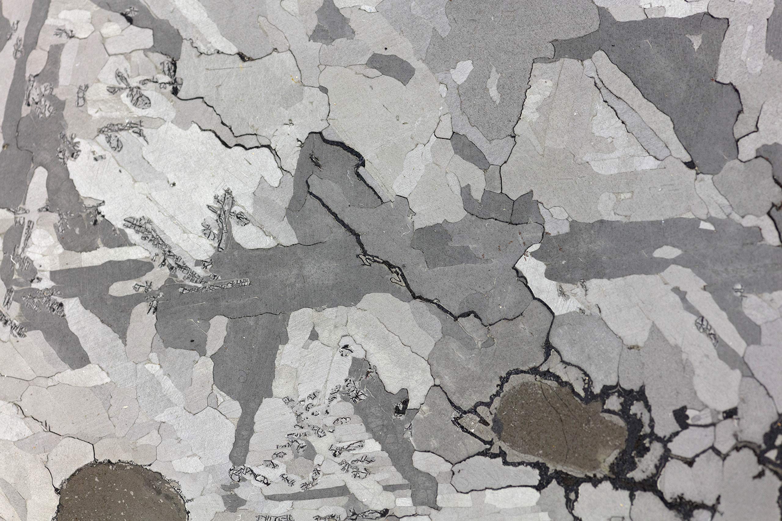 Amazon | 流れ星のかけら フォーカルポイント 本物 パラサイト隕石