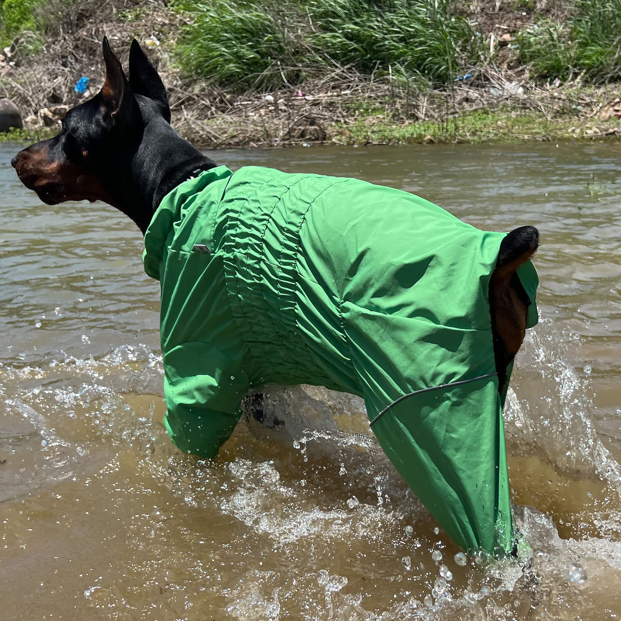 Chaqueta impermeable para perros, chaqueta impermeable ligera e impermeable reflectante de seguridad para perro, resistente al viento, chaleco para perros pequeños, medianos y grandes, verde, L