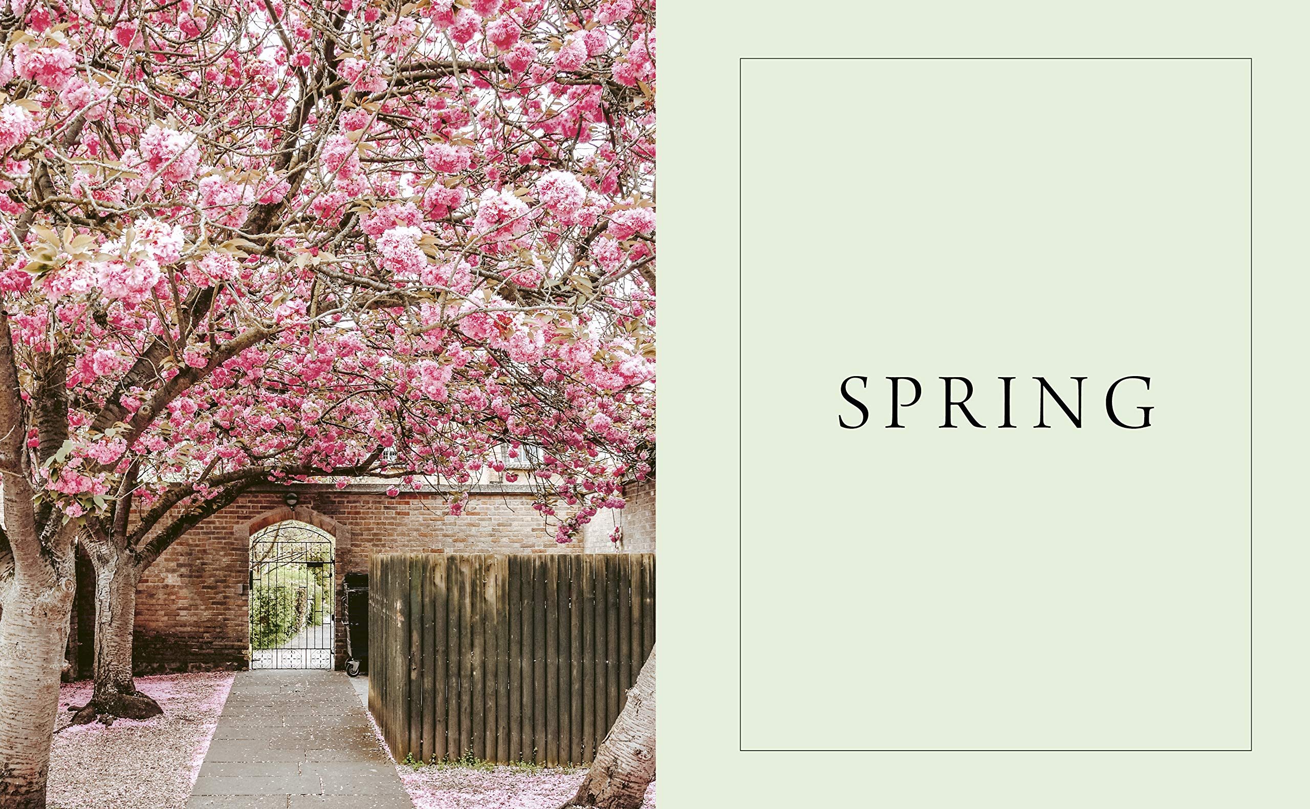 Pretty Little London: A Seasonal Guide to the City's Most Instagrammable Places (1)