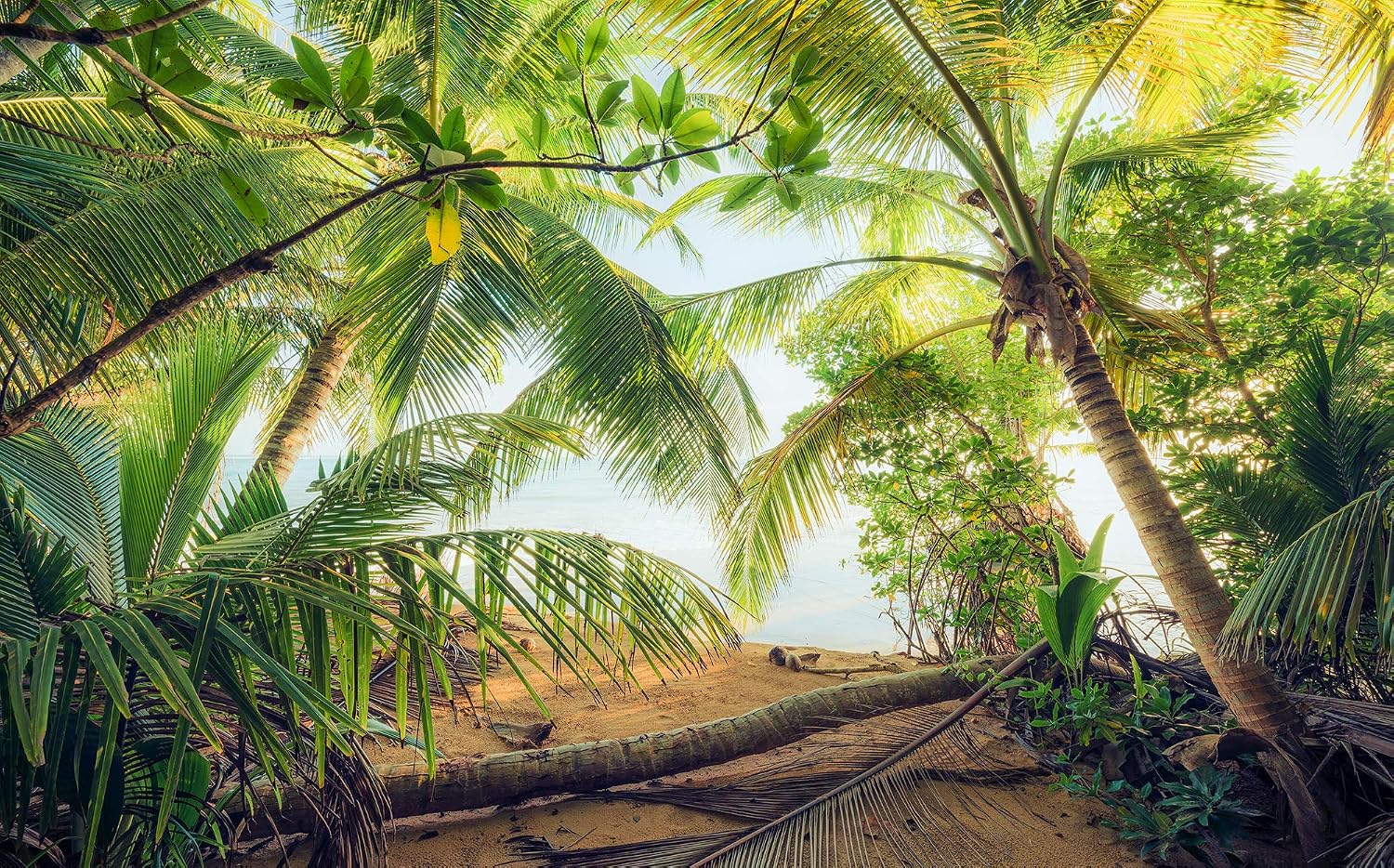 Komar SHX9-070 Non-Woven Photo Wallpaper with Pirate Hideout Design XXL Decorative Nature Landscape Bedroom Living Room Office Hallway Size 450 x 280 cm (Width x Height) Multi-Coloured - Image 3