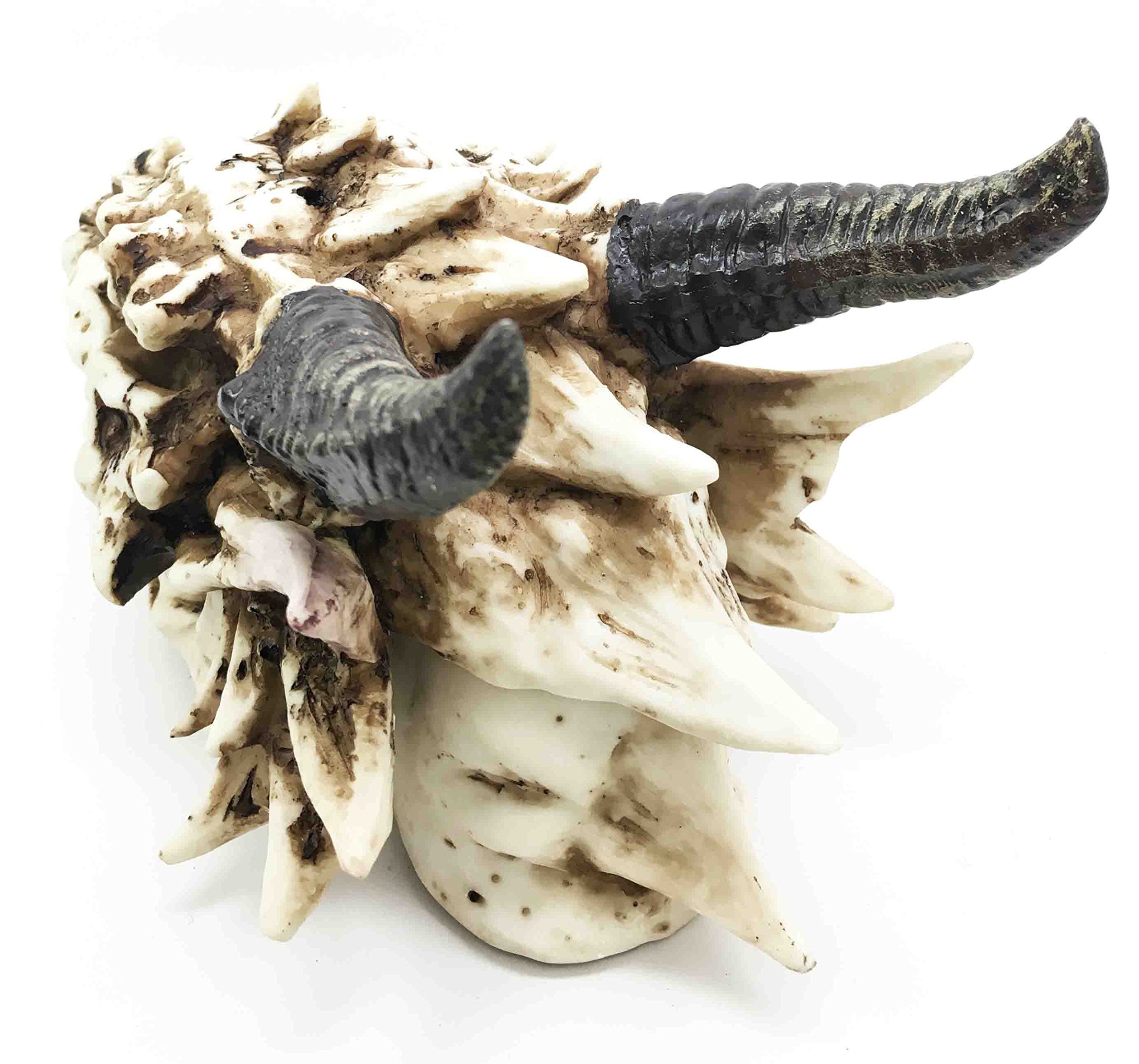 Amazon.co.jp: 神話とファンタジーSmoking小鼻and Eyesスケルトン