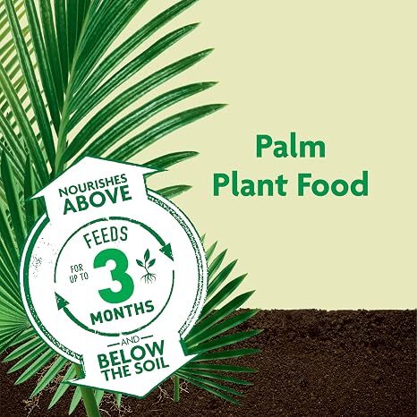 Miracle-Gro Shake 'N Feed Palm Plant Food, 4.5 lb. | Fertilizer for Container and In-Ground Palm Trees, Cycads, and Tropical Plants