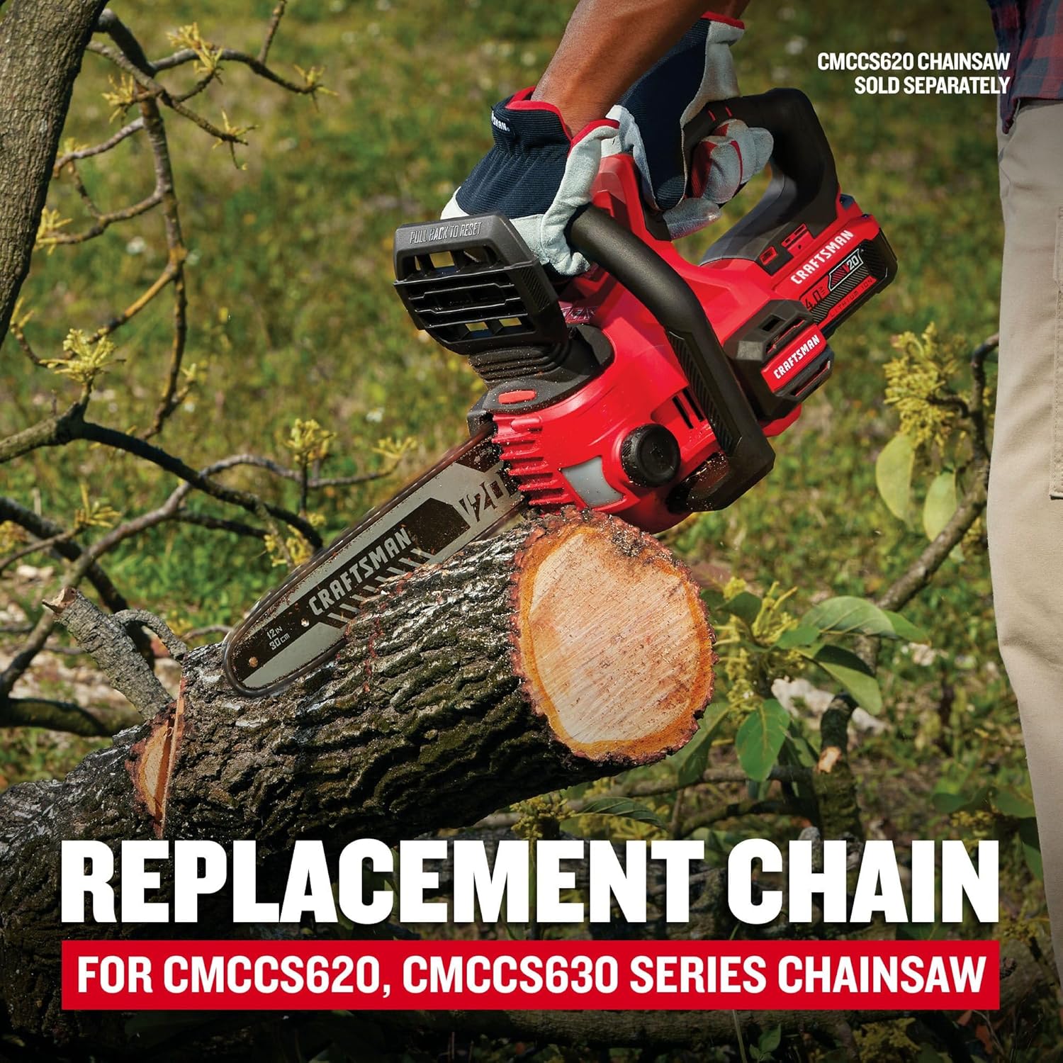 CRAFTSMAN 12 inch Chainsaw Chain, Replacement Chain for CMCCS620, CMCCS630 Series, 0.043 Inch Gauge, 3/8 Inch Pitch (CMZCSC12)