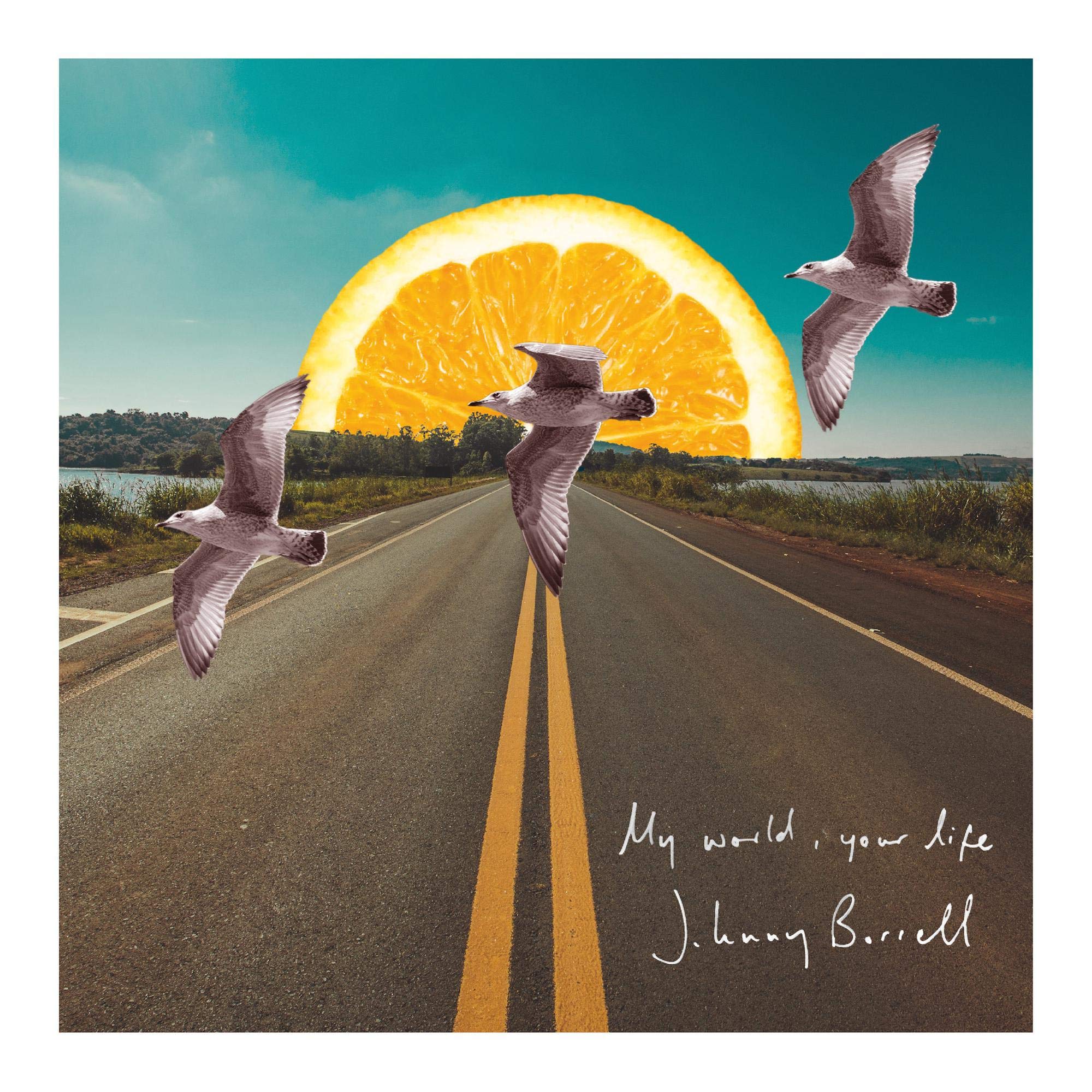 My World, Your Life (7") [7" VINYL]