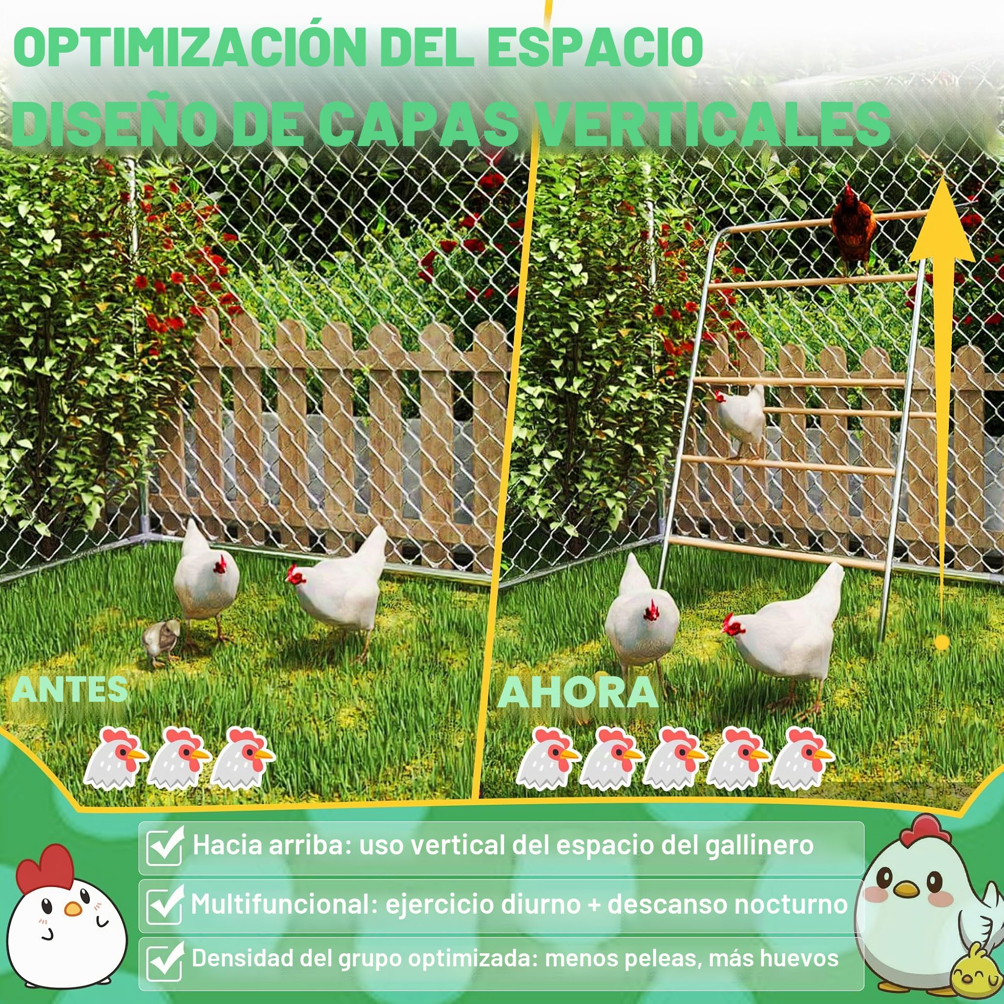 Froadp Columpio de madera de 5 niveles para pollos con percha - escalera para pollos, barra para pollos y juguete para pollos, accesorio para gallinero y corral para pollos