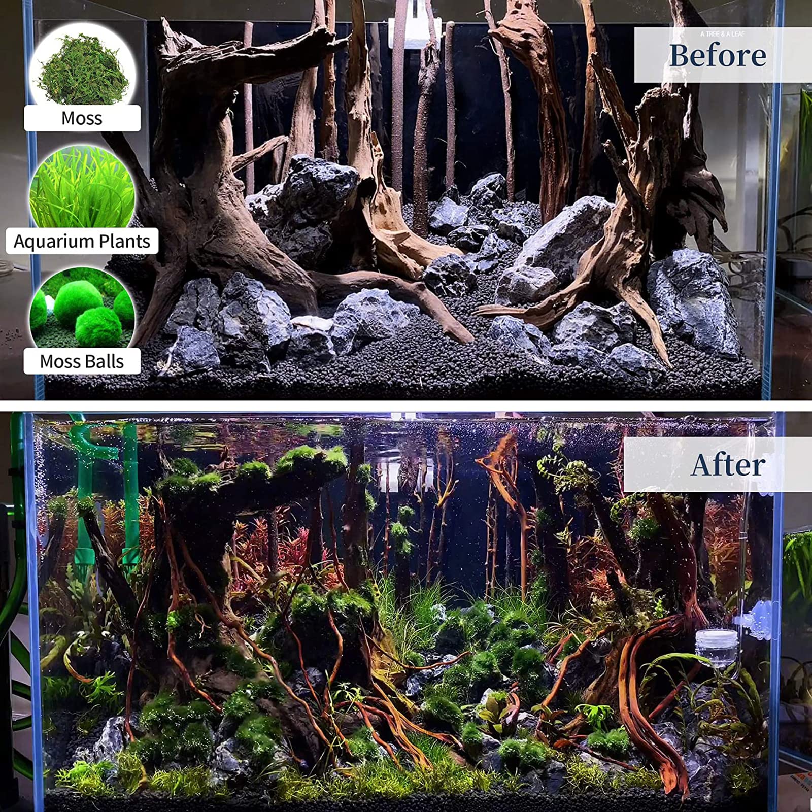 Decoración de madera flotante para acuario, escondite de troncos de madera natural, adornos betta, ramas de forma irregular, árbol de madera flotante, agua dulce, bajo el agua, betta, mediano y