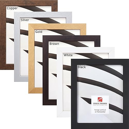 Craig Frames Marcos de fotos personalizados para marcos de fotos extraños de hasta 12 x 18 pulgadas, estilo moderno para decoración personalizada
