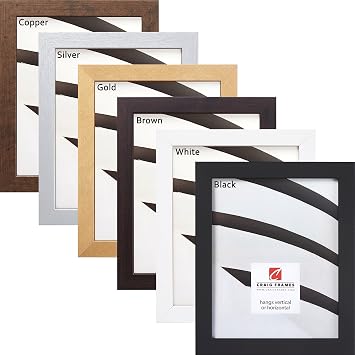 Craig Frames Custom Picture Frame, Made to Order, Any Size 4x4 to 30x40 | 6 color finishes, glass on small sizes and plexiglass on large, ready to hang