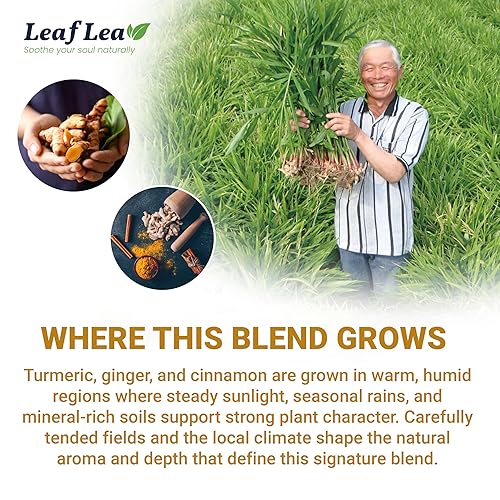 Miniatura 7 de LeafLea - Té de cúrcuma, jengibre y canela con ingredientes 100% naturales, mezcla herbal para el bienestar, sin azúcar ni cafeína, vegano, 40