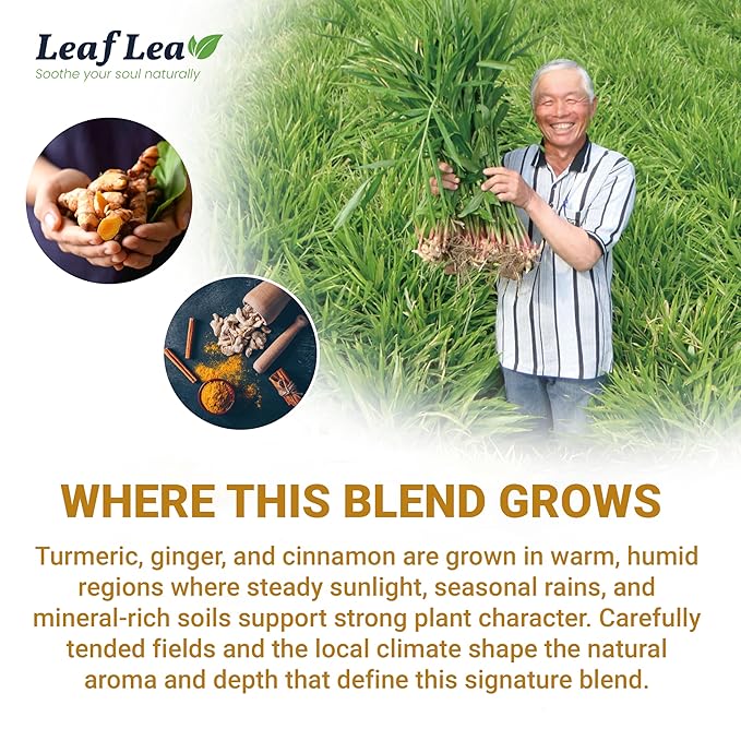 Té de Cúrcuma Jengibre y Canela 40 Saquitos Natural miniatura 8