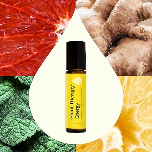 Vista 3 de Plant Therapy Energy Essential Oil Blend 10 mL (1/3 oz) Mezcla refrescante y energizante 100% pura, prediluida en roll-on, aromaterapia natural