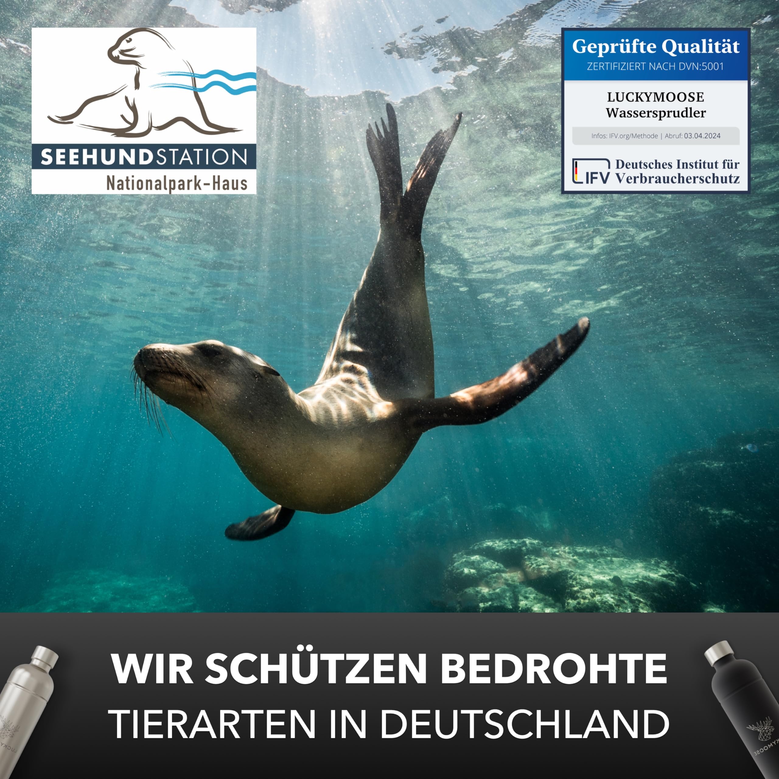 Luckymoose Infinity Wassersprudler mit 2x 1,25L langlebigen, spülmaschinenfesten Edelstahlflaschen – CO₂-sparende Sprudelwasser Maschine – Kompatibel mit den blauen 60l CO₂-Zylindern