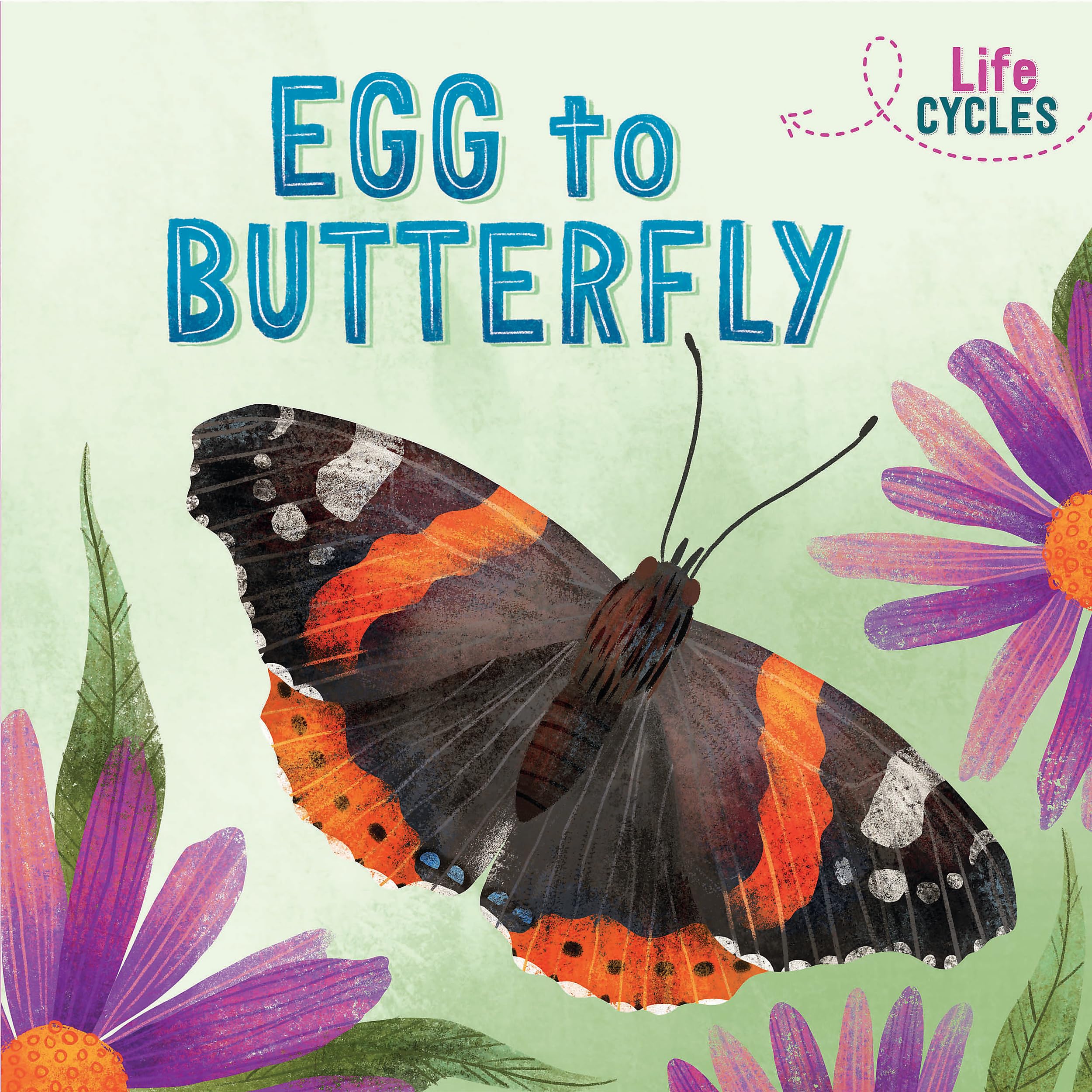 Life Cycles: Egg to Butterfly by Rachel Tonkin (Paperback Book)