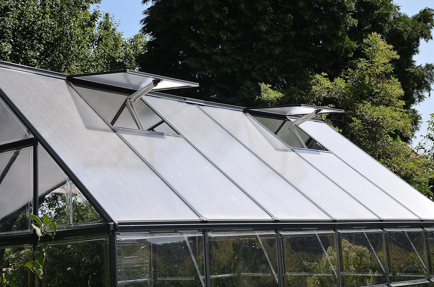 Palram - Canopia Automatic Roof Vent Opener for Greenhouses 8 91GVpyye7uL. AC SL1500