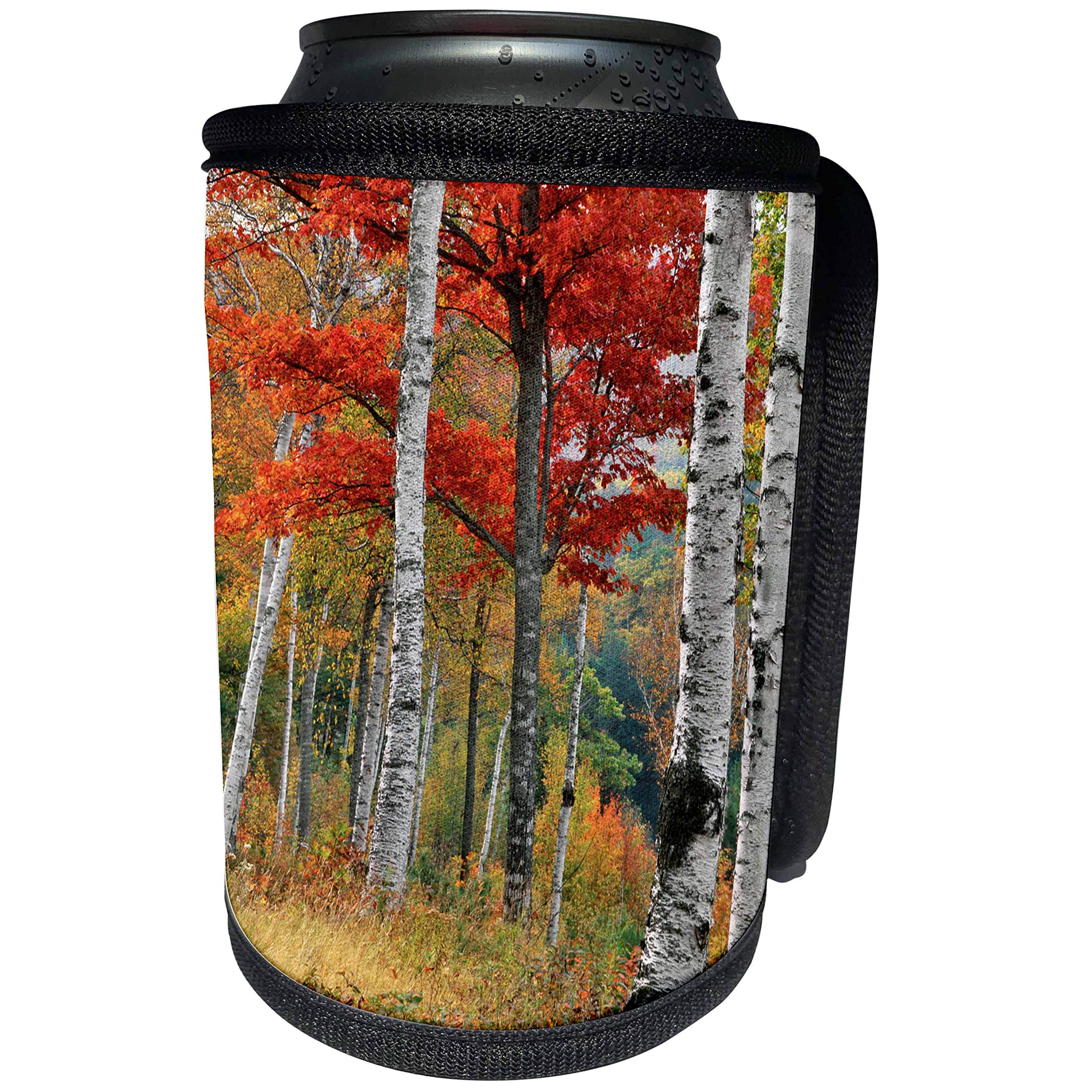 Can Cooler Bottle Wrap - USA, Maine, Wyman Lake. Forest of birch and maples in autumn colors. Jaynes Gallery - Forests