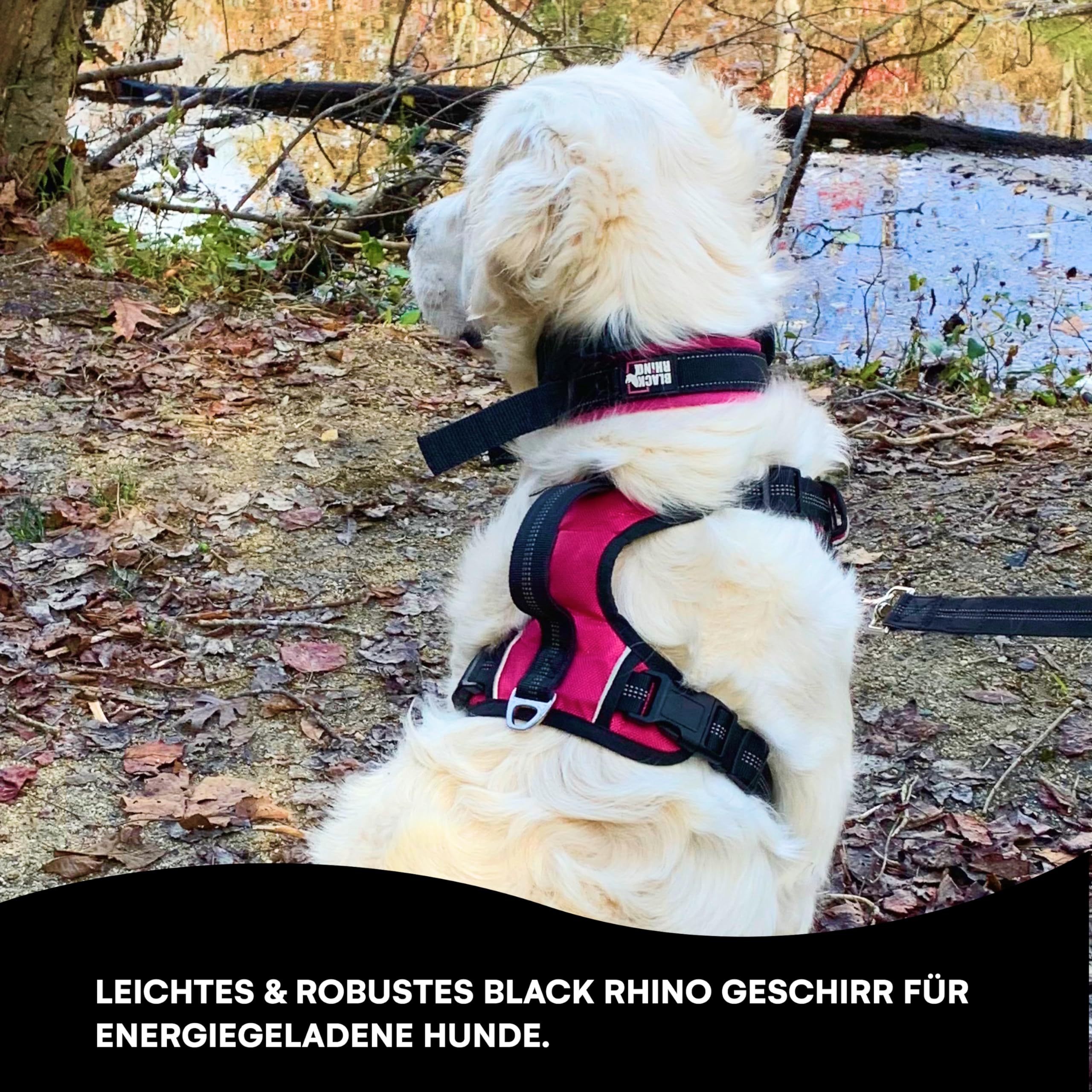 Comfort X Hundegeschirr Mit Doppel-Schnappverschluss – Rosa, Größe L Für Bequemes Tragen & Sicheren Halt
