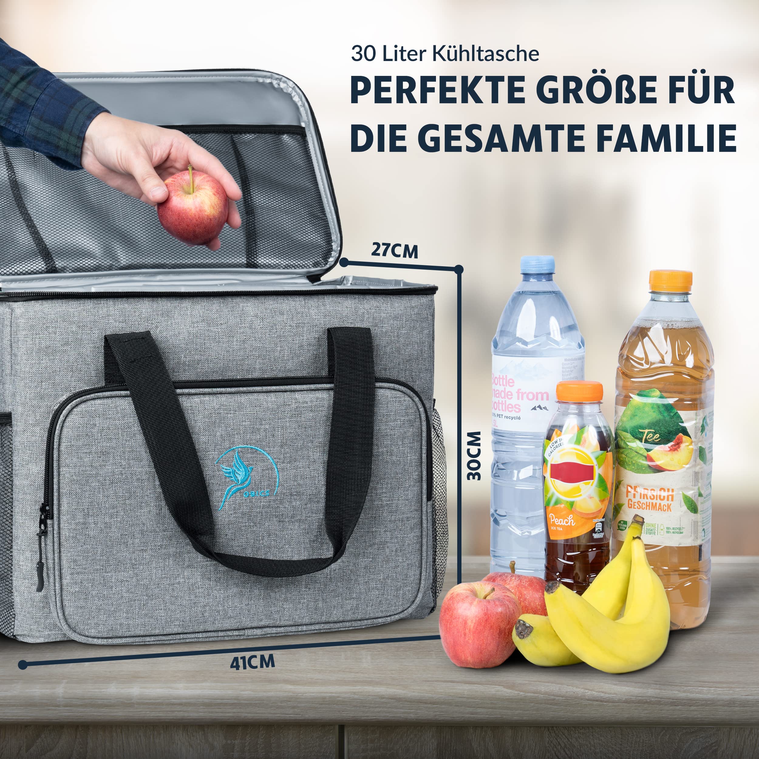 Obics® Insulated Lunch and Lunch Bag 20 L Grey Small – Bag, Portable Cooler Box for Office, Camping, Picnic, Travel – Box, Grocery Box, Insulated and Insulated Cooler for 12 Hours