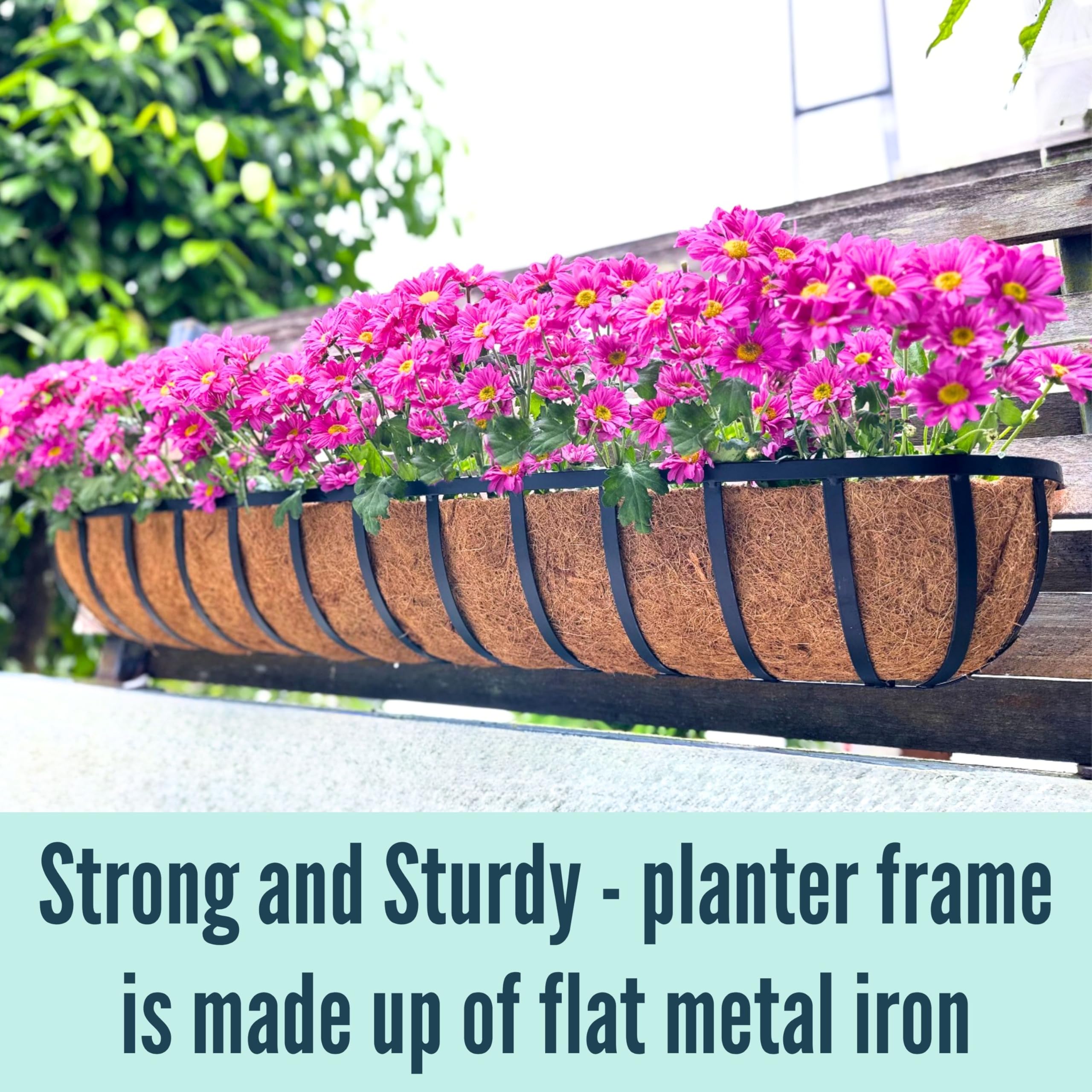Wire Wall Planter Maxona Wall Hanging Baskets,16 Inch 2 Pack Flower Planters For Outdoor Plants Wall Mounted With Coco Liner, Metal Iron Wire Holder For Window Herb Railing Fence Deck Balcony Porch