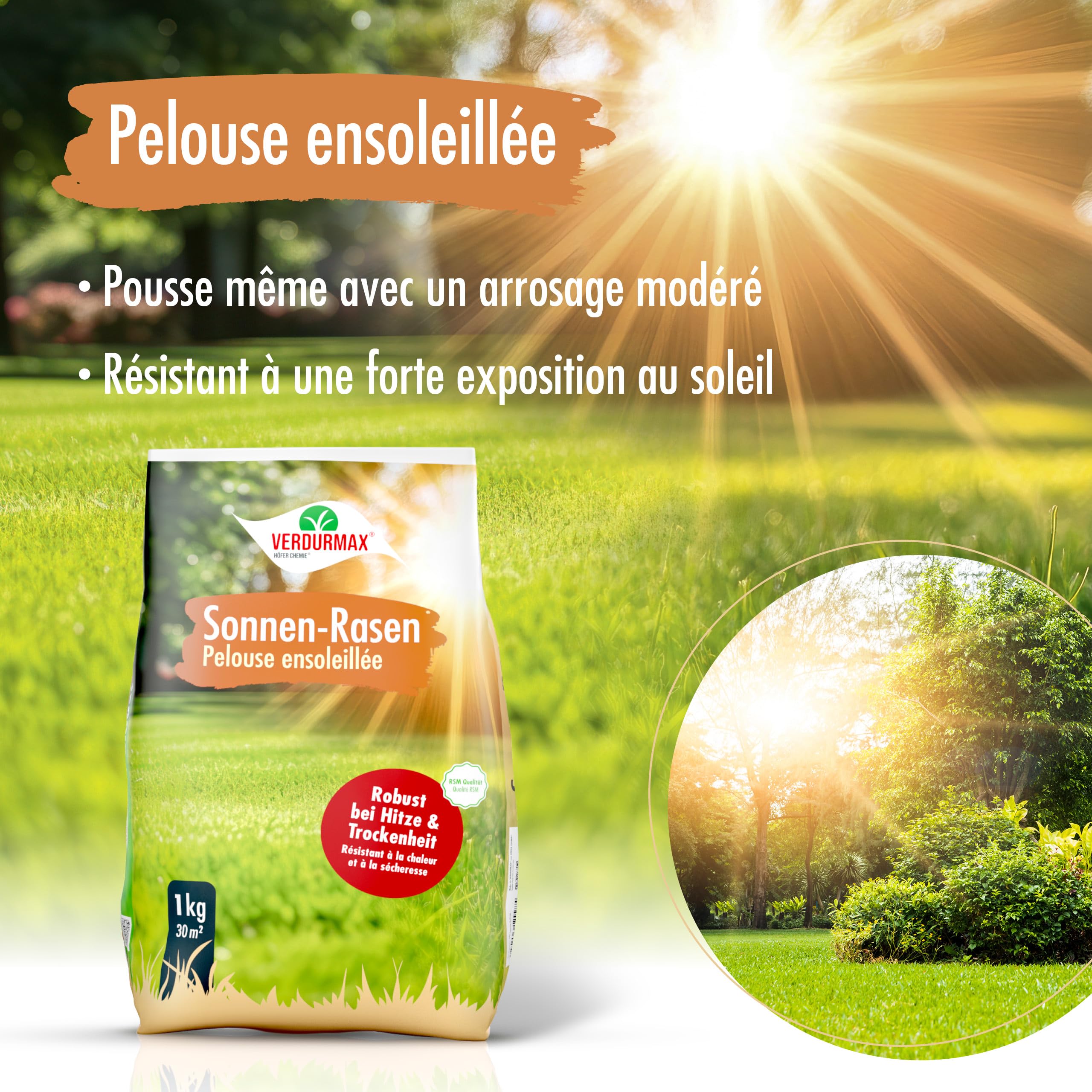 Verdurmax Pelouse Ensoleillée 2 x 1 kg - Gazon Dense et Robuste