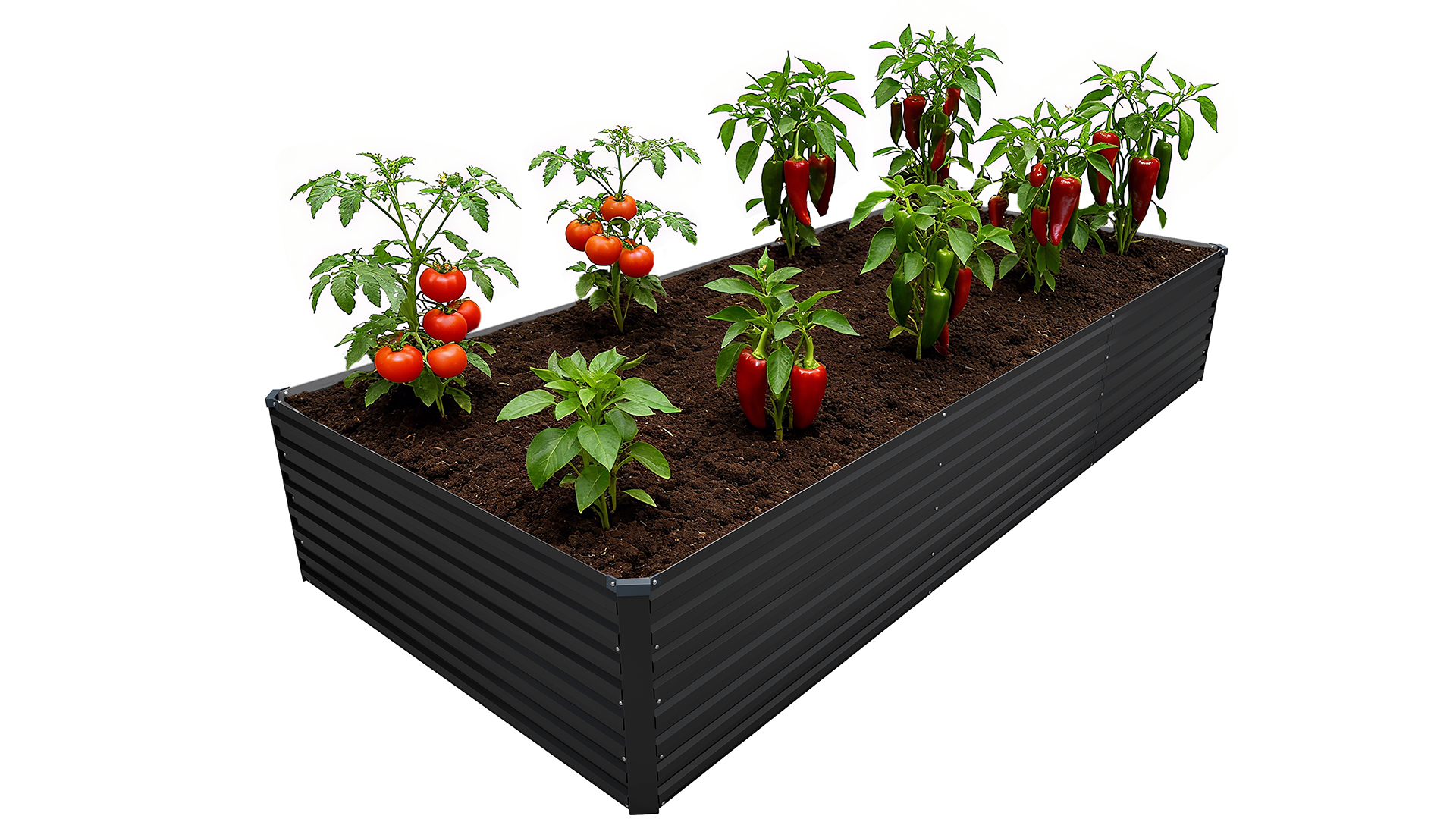 Amazon.com: DIIYIV Galvanized Raised Garden Bed Kit Outdoor Patio