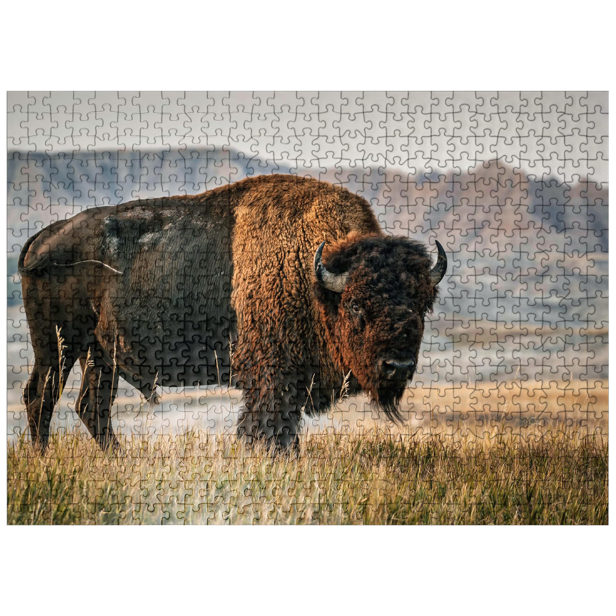 American Bison In South Dakota Jigsaw Puzzle – 500 Pieces For Adults, Premium Quality