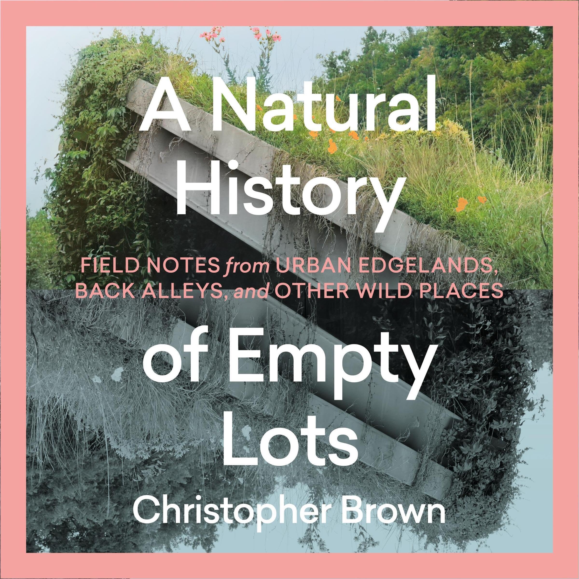 Cover art for A Natural History of Empty Lots