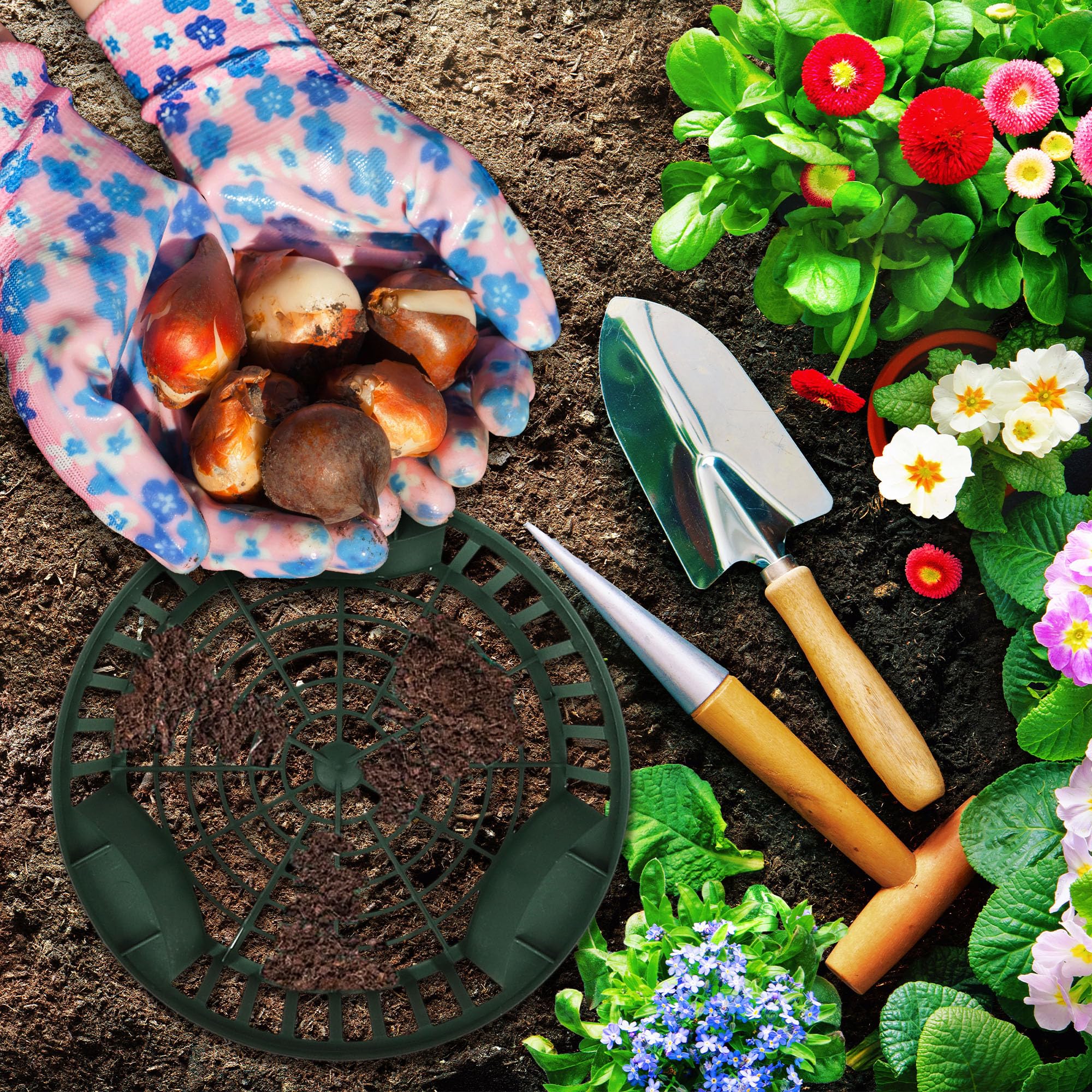 KOTARBAU® Set 10 pièces Panier À Bulbes - ⌀ 215 mm - Vert - Corbeille Plantation Tulipes - Accessoire Plantation Bulbes - Plastique