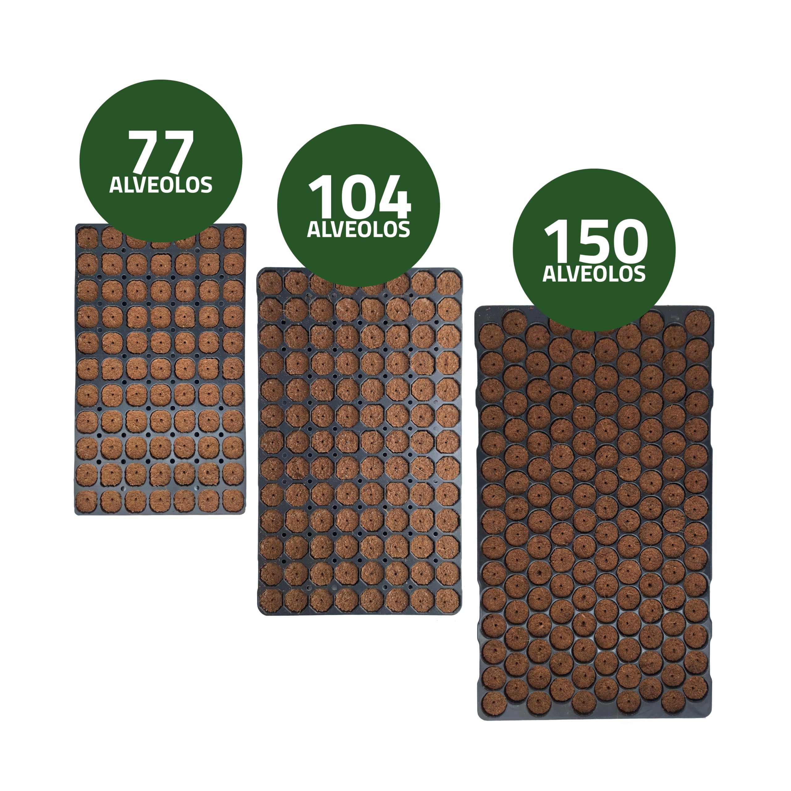 Bandeja de Semilleros de Germinación 104 Alveólos | Propagador de Semillas con Tierra y Orificio para Semilla o Planta | Mejor Desarrollo Raíces | Biodegradable