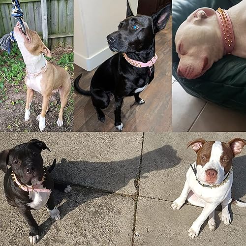 Miniatura 3 de TEEMERRYCA - Collar de cuero rosa con tachuelas doradas para perra, tallas S, M, G, EG, para mascotas pequeñas, medianas y grandes, como Pitbulls y