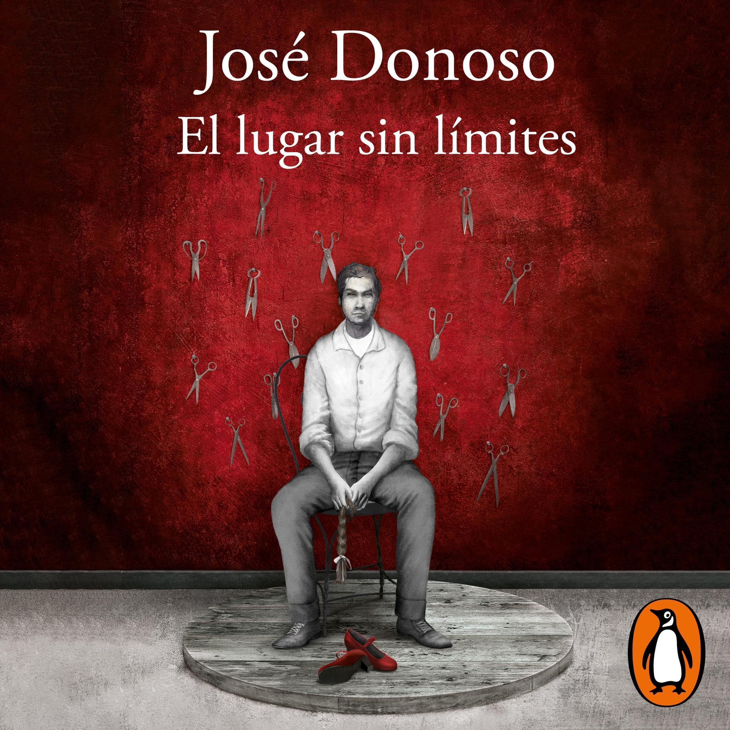 Cover art for El lugar sin límites