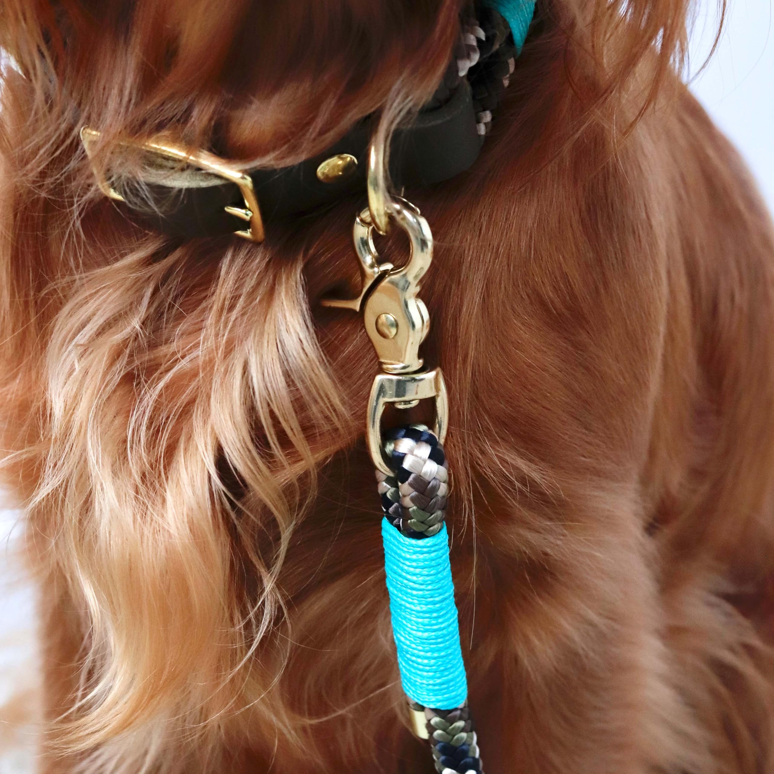 LAUBLUST Handgemachte Paracord-Hundeleine 2 Meter - 2-Fach verstellbar | Handgefertigte Leine für Hund - Hundeleine als Geschenk für Hundebesitzer | Waschbare Tauleine (Grün, S, M, L | 10 mm)