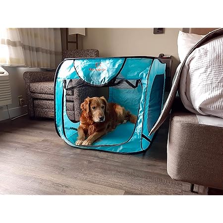 coleman dog crate