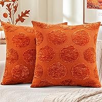 Vista 11 de decorUhome Juego de 2 fundas de almohada de felpilla suave de otoño de 18 x 18 pulgadas, fundas de almohada decorativas de terciopelo neutro