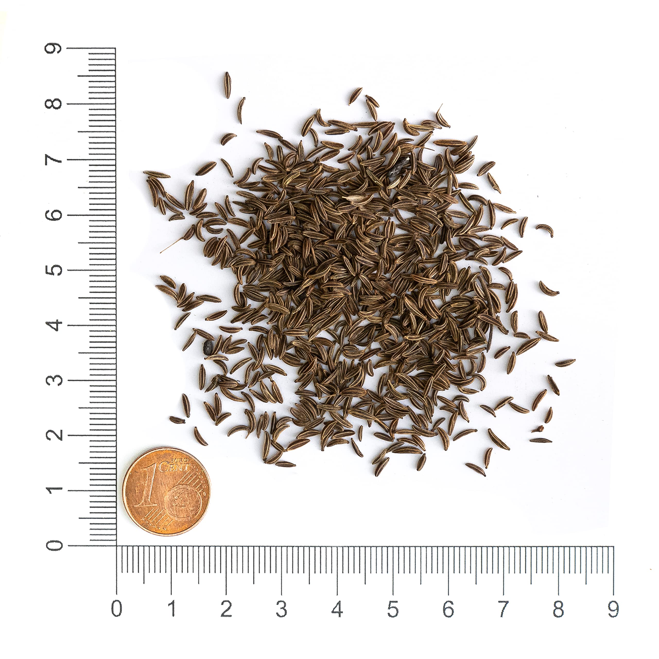 Krauterie Kümmel für Pferde, ganz (2000 g) | Artgerechtes Einzelfuttermittel für Pferde in Spitzenqualität - frei von Zusatzstoffen, getreidefrei, zuckerfrei, melassefrei