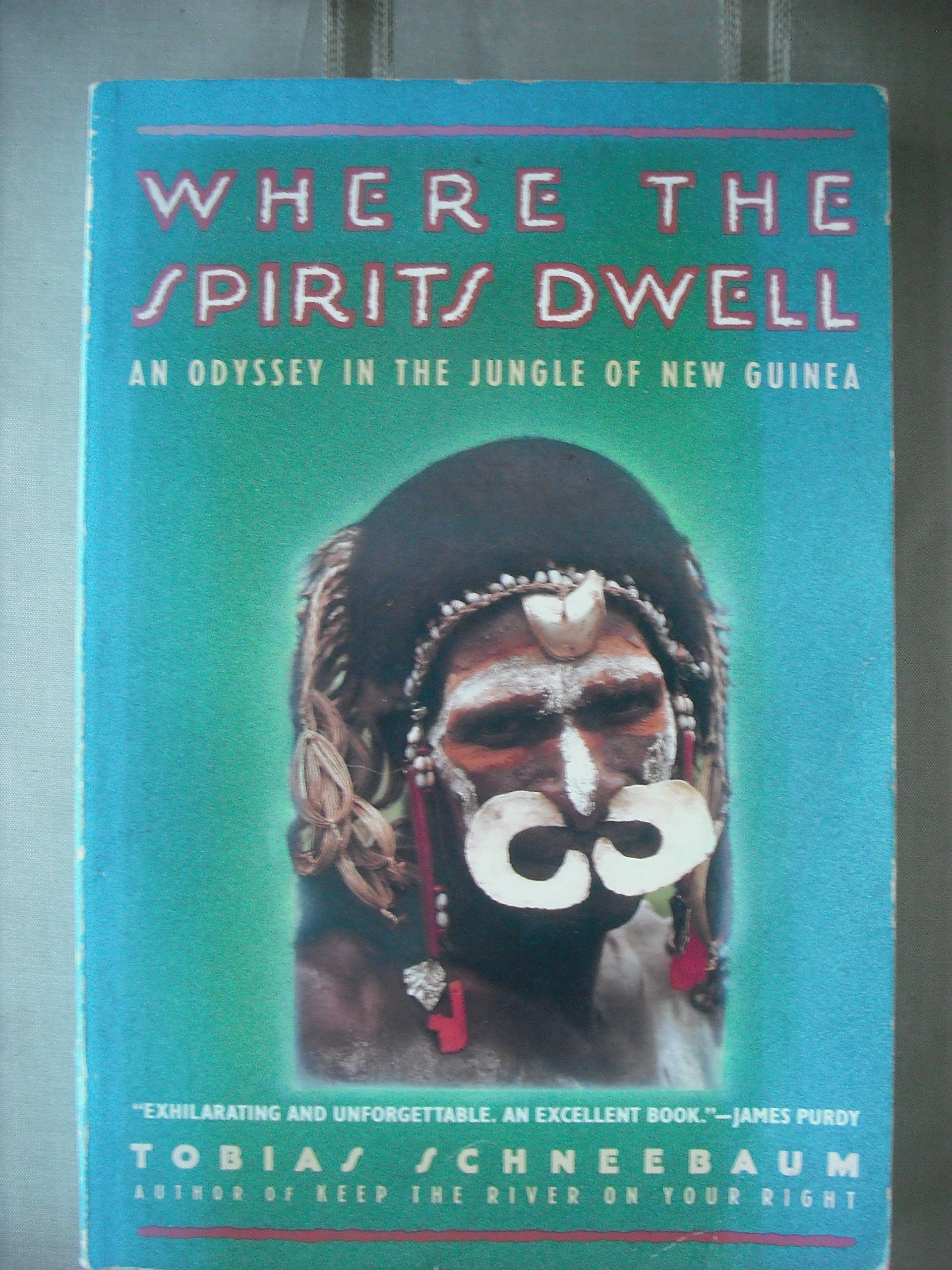 Where the Spirits Dwell: An Odyssey in the Jungle of New Guinea Paperback – March 8, 1994