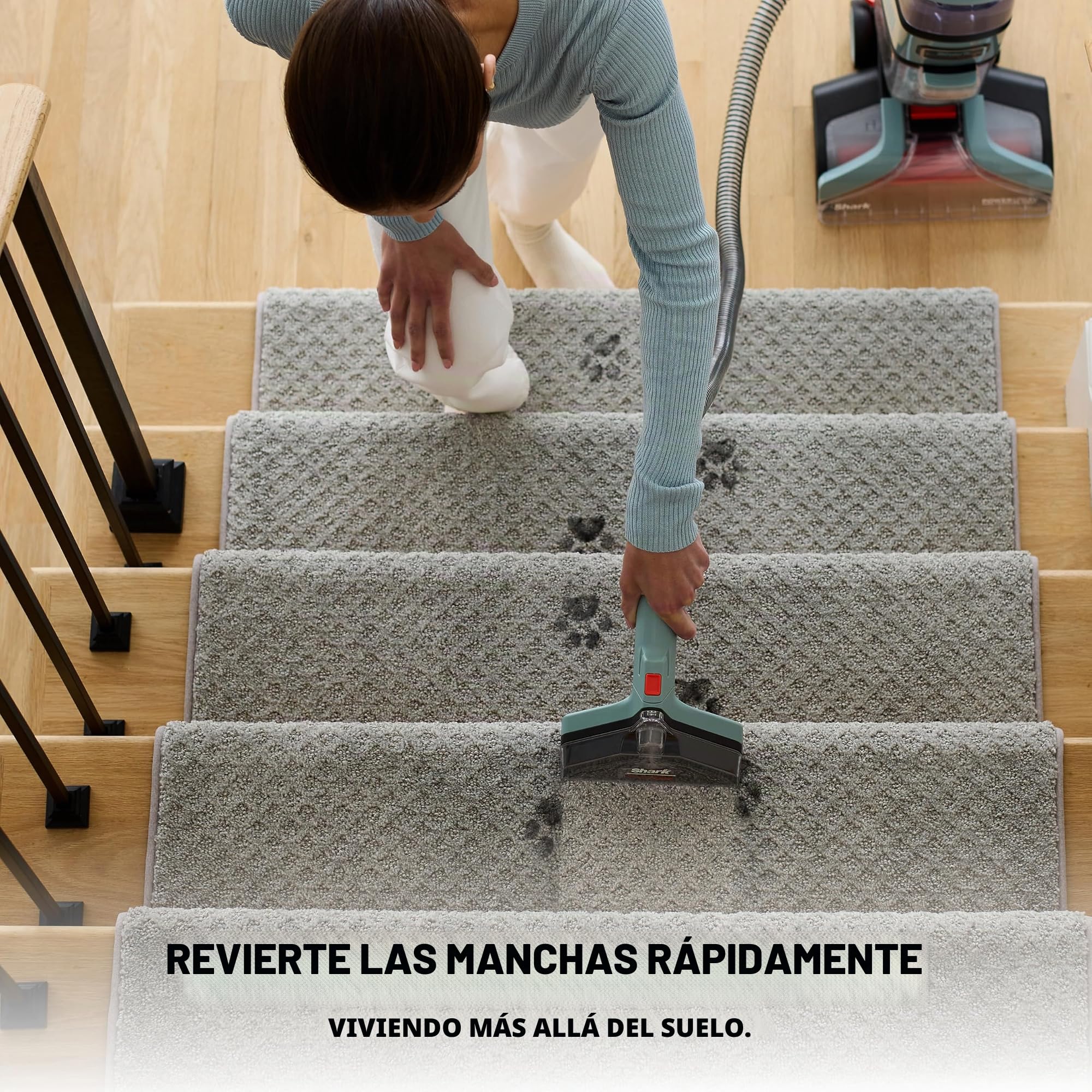 Shark CarpetXpert EX151 - Limpiador Vertical De Alfombras Y Alfombreras Para Mascotas, Limpieza Profunda, Eliminación De Suciedad Y Mugre, Champú De Alfombras, Magenta