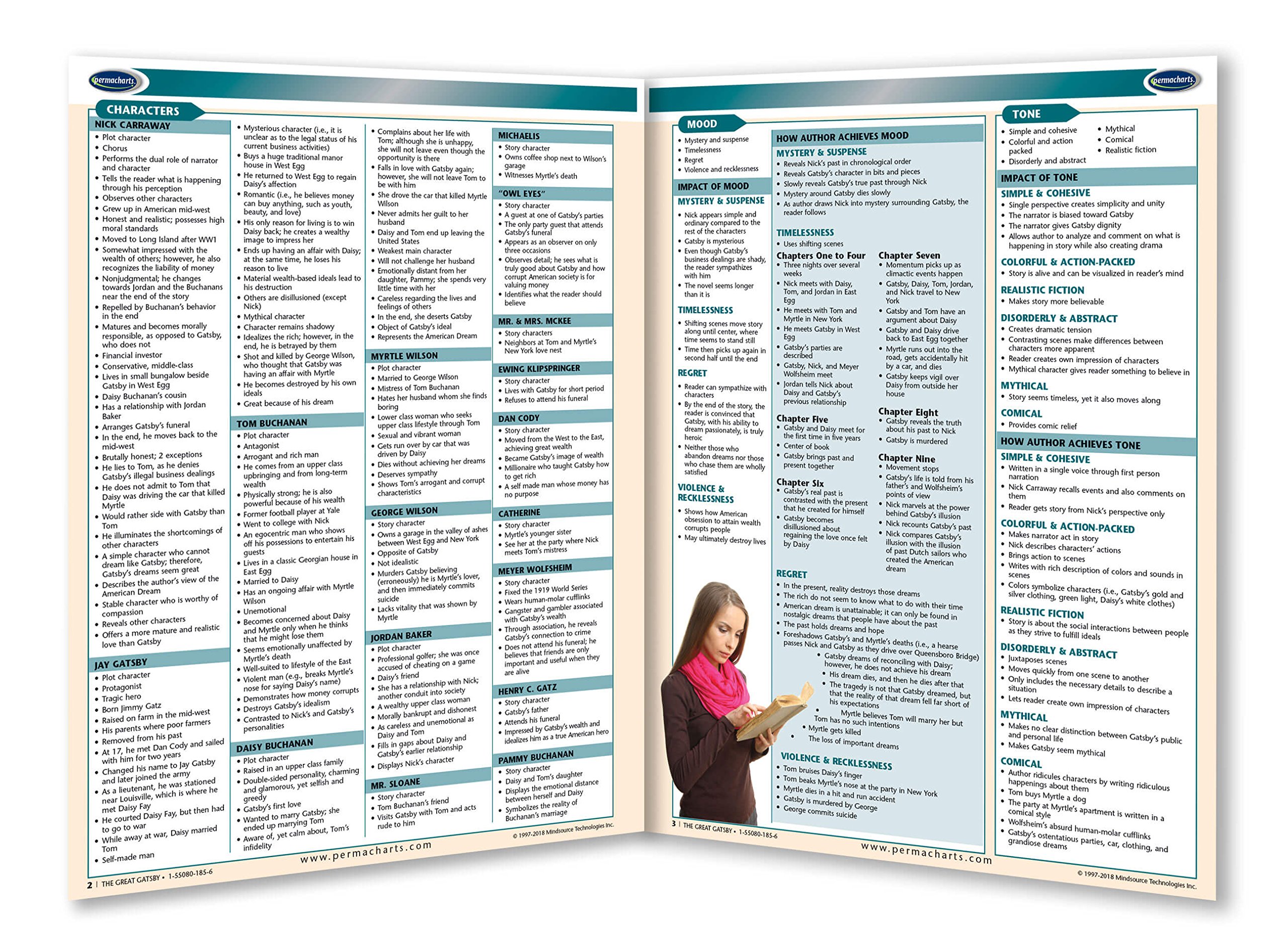 The Great Gatsby Novel Summary Guide - Literature Quick Reference Guide by Permacharts - Image 2