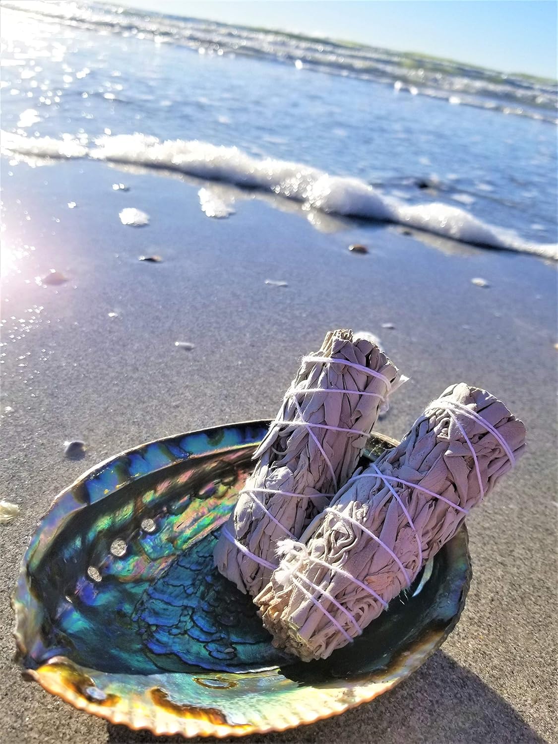 Beautiful Large Abalone Shell 6"+ XL Smudge Bowl & Wood Stand for Smudging, Sage Burning, Incense, Altar Supplies (6-7 Inches w/Stand)