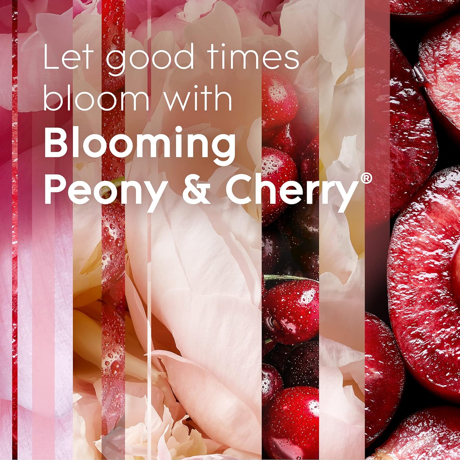 Glade PlugIns warmer with adjustable intensity dial